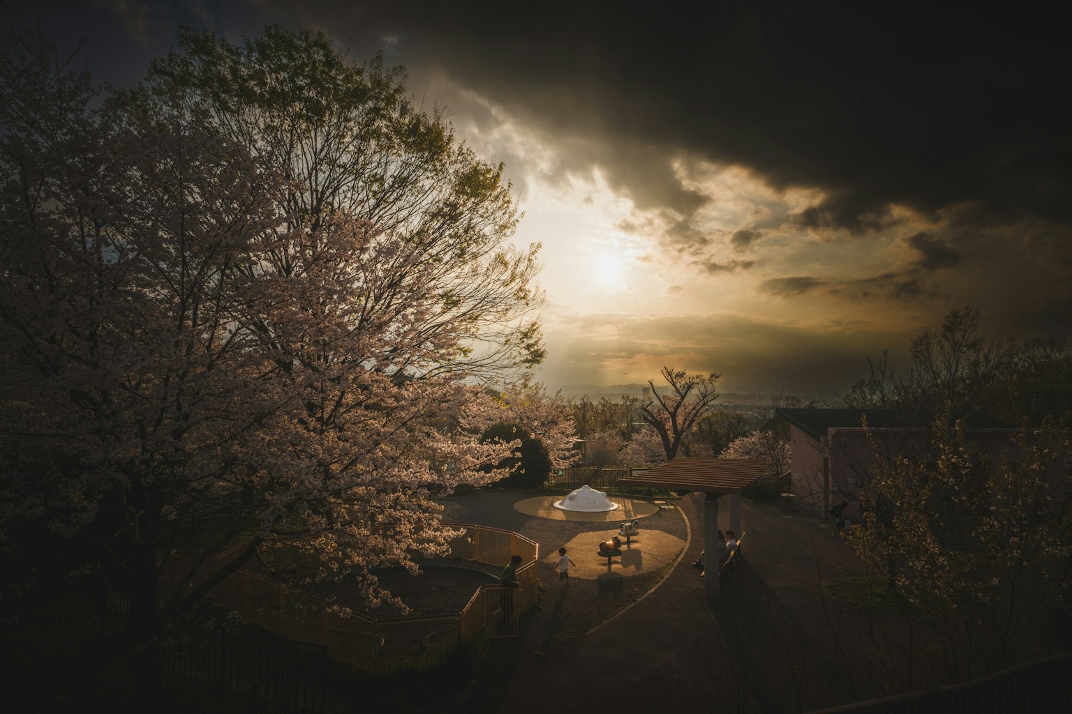 photo-4OCSi9WM2JG8RfLvQMKx-image