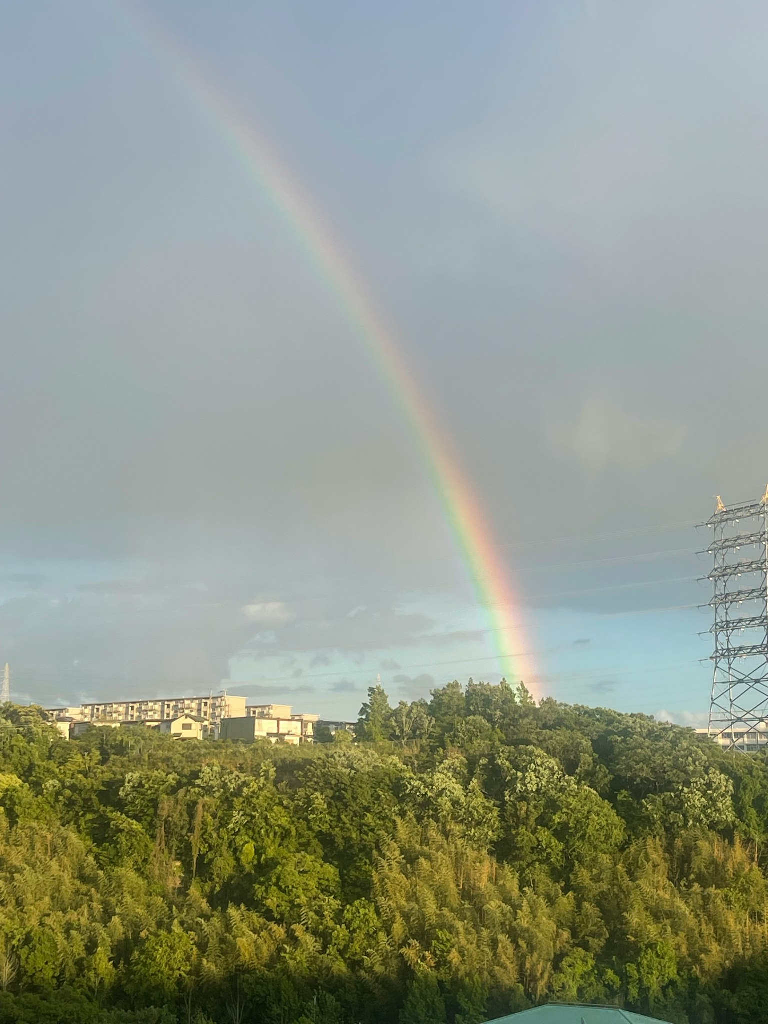 Un arcobaleno vivace che si staglia sopra alberi verdi e edifici