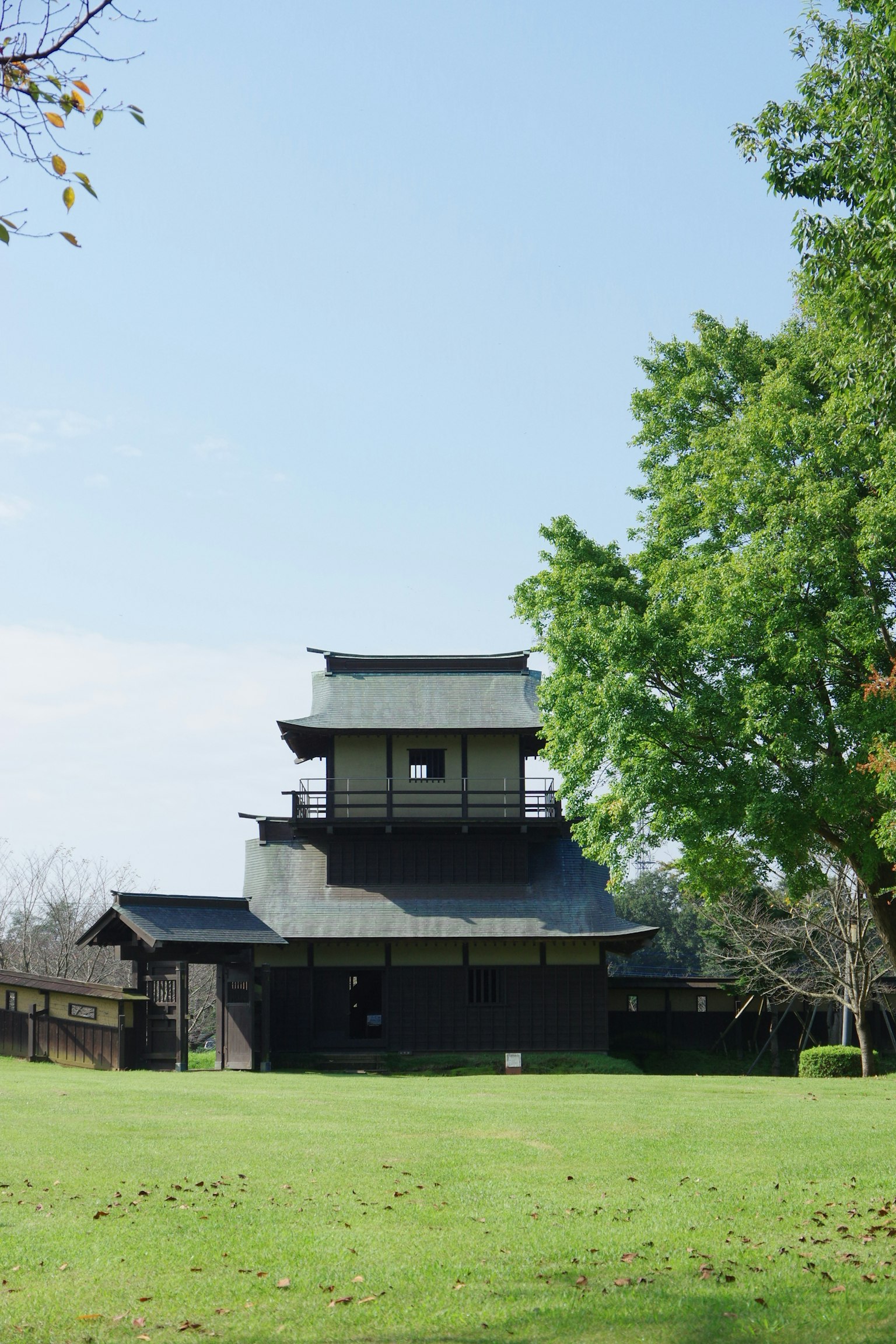Schwarzes Schlossgebäude auf grünem Gras