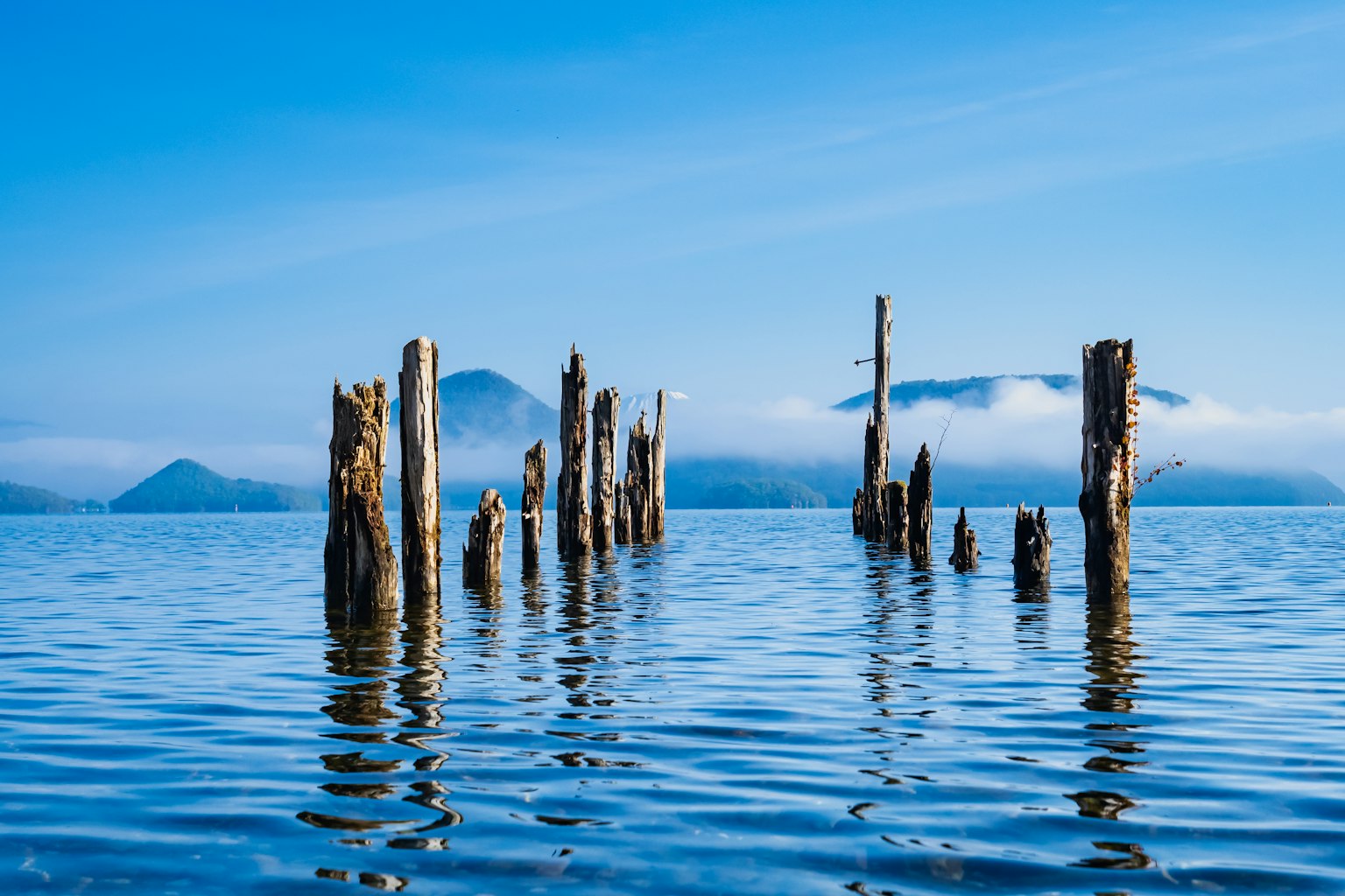 Alte Holzpfosten, die aus einem ruhigen See unter einem blauen Himmel ragen