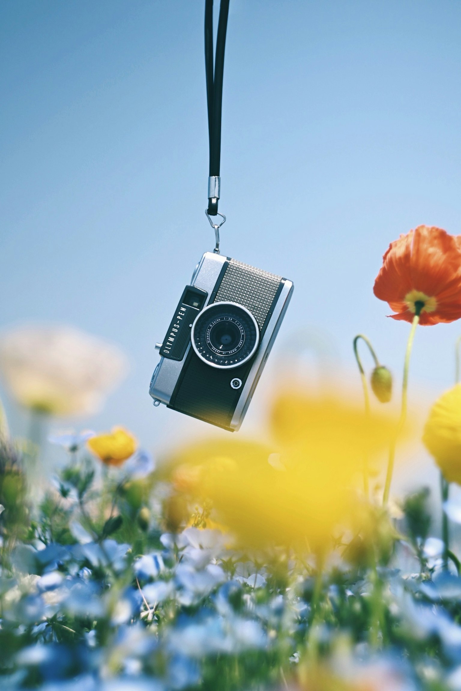 Una macchina fotografica appesa tra fiori colorati sotto un cielo blu