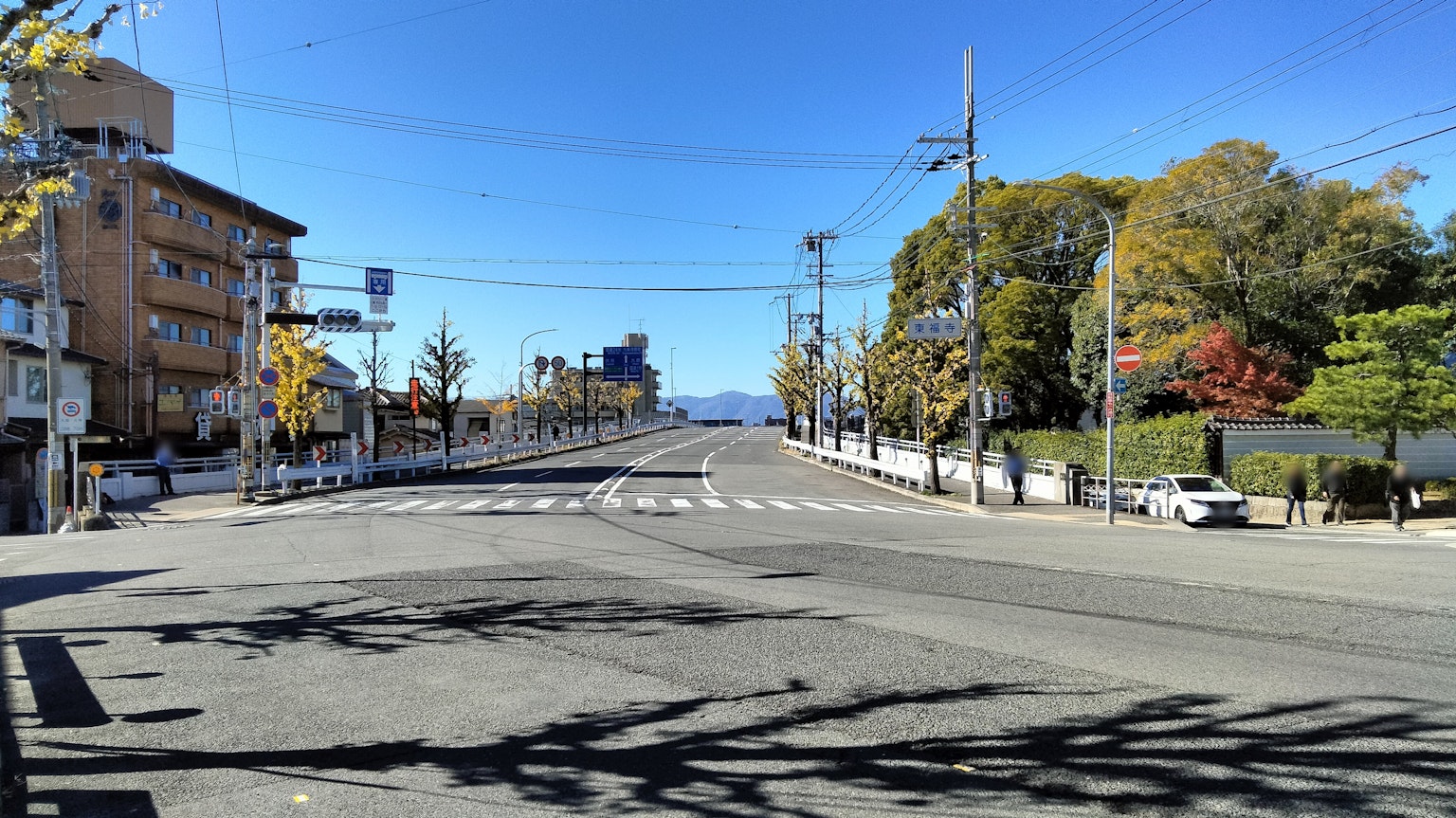 Quiet street under blue sky with trees lining the sides