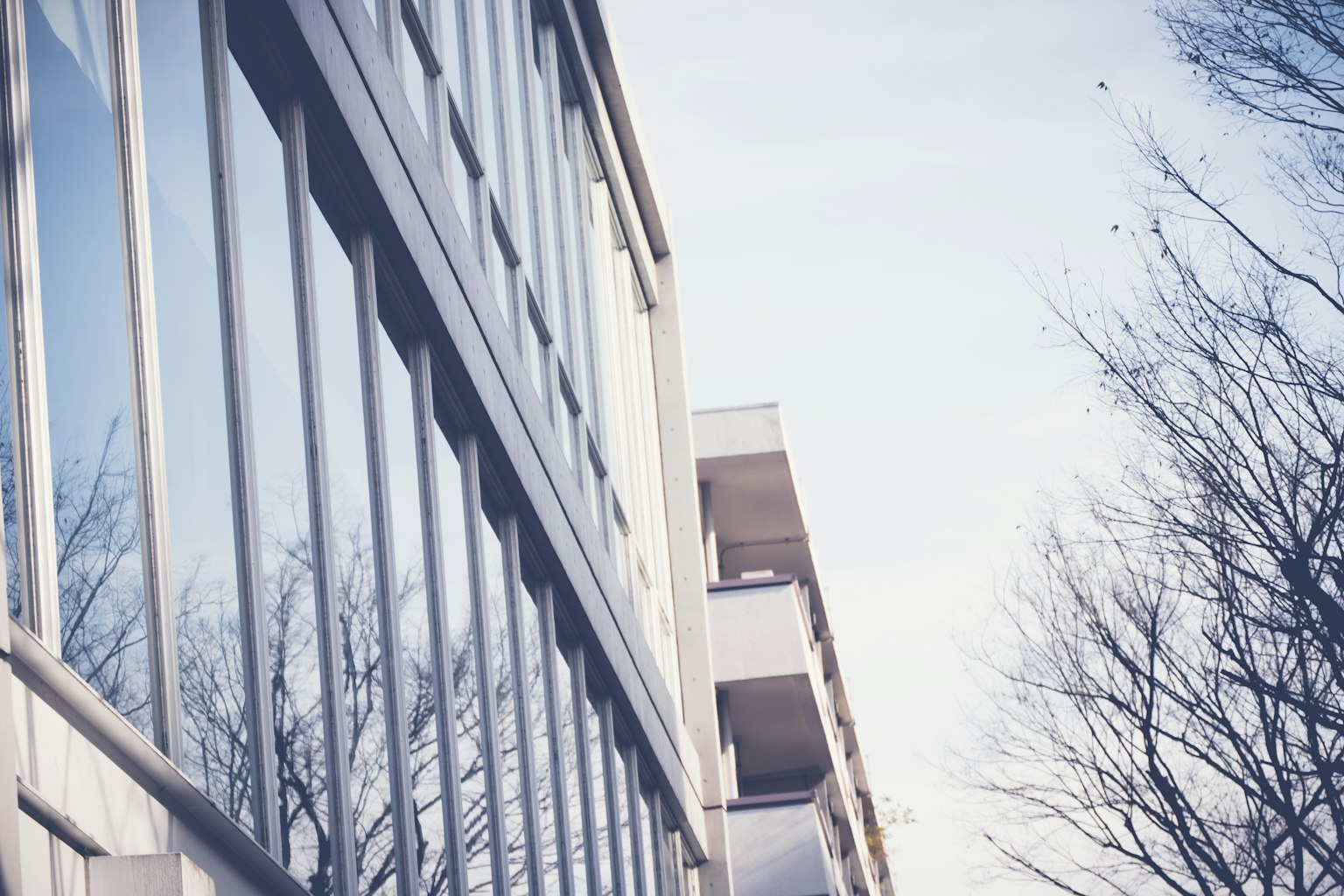 Escena urbana con reflejos de vidrio de un edificio y árboles de invierno