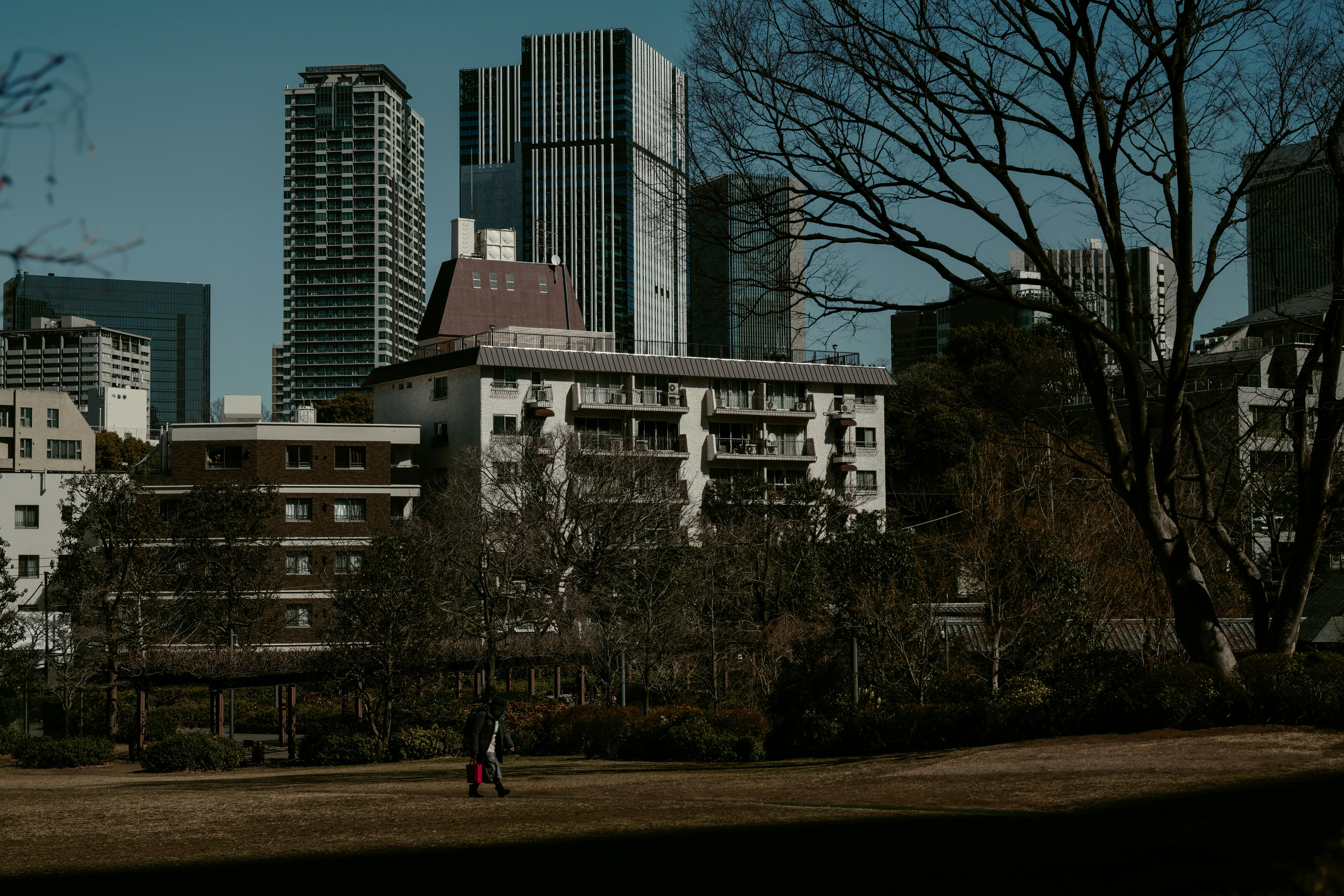 公園の芝生と高層ビルが並ぶ東京の街並み