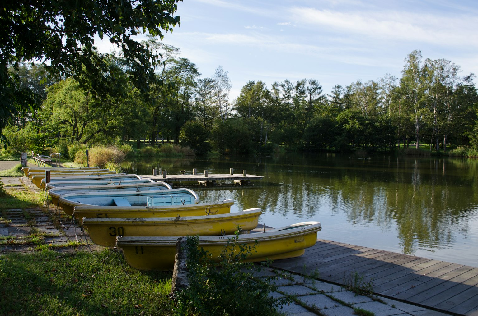 Perahu kuning berjejer di tepi danau tenang dikelilingi oleh pepohonan