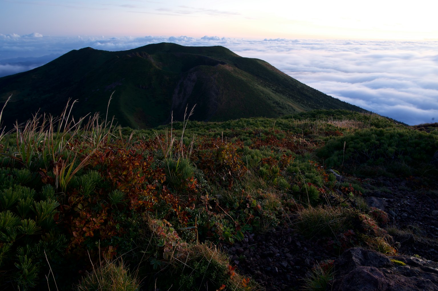 Paysage montagneux au-dessus de la mer de nuages avec une végétation luxuriante et un terrain rocheux