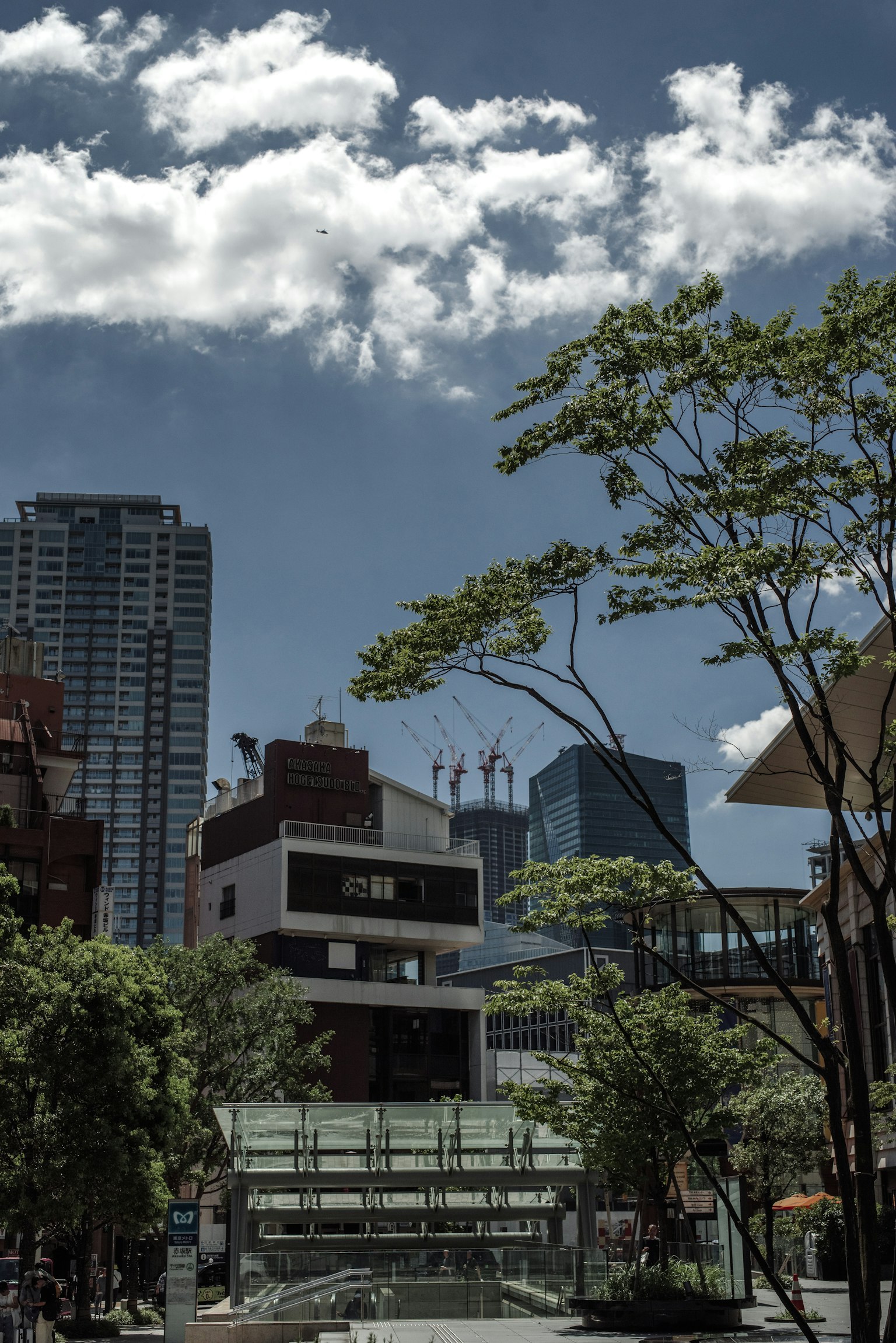 Paesaggio urbano con grattacieli e alberi sotto un cielo blu
