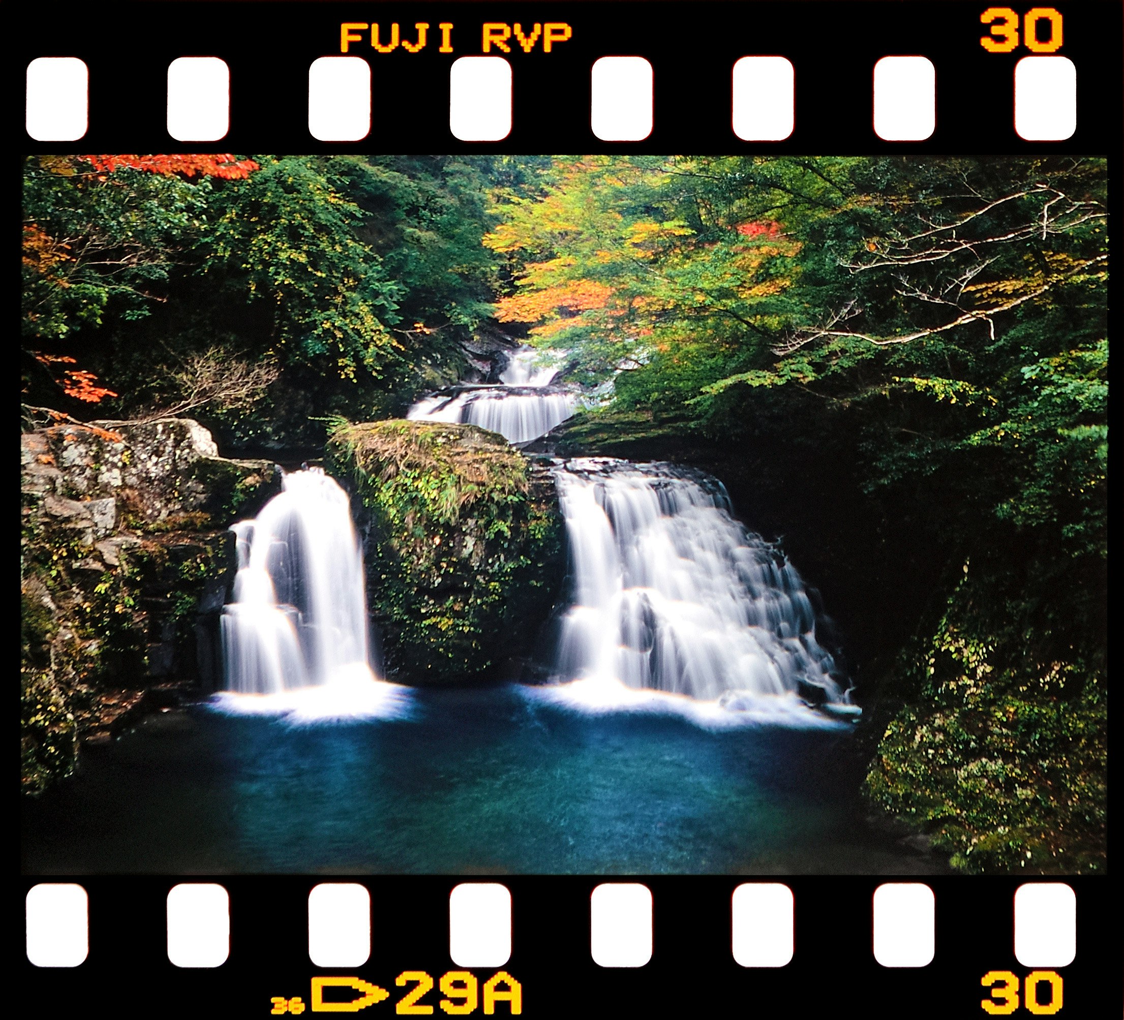 美しい滝と緑の木々の風景 色とりどりの葉が秋の訪れを示す