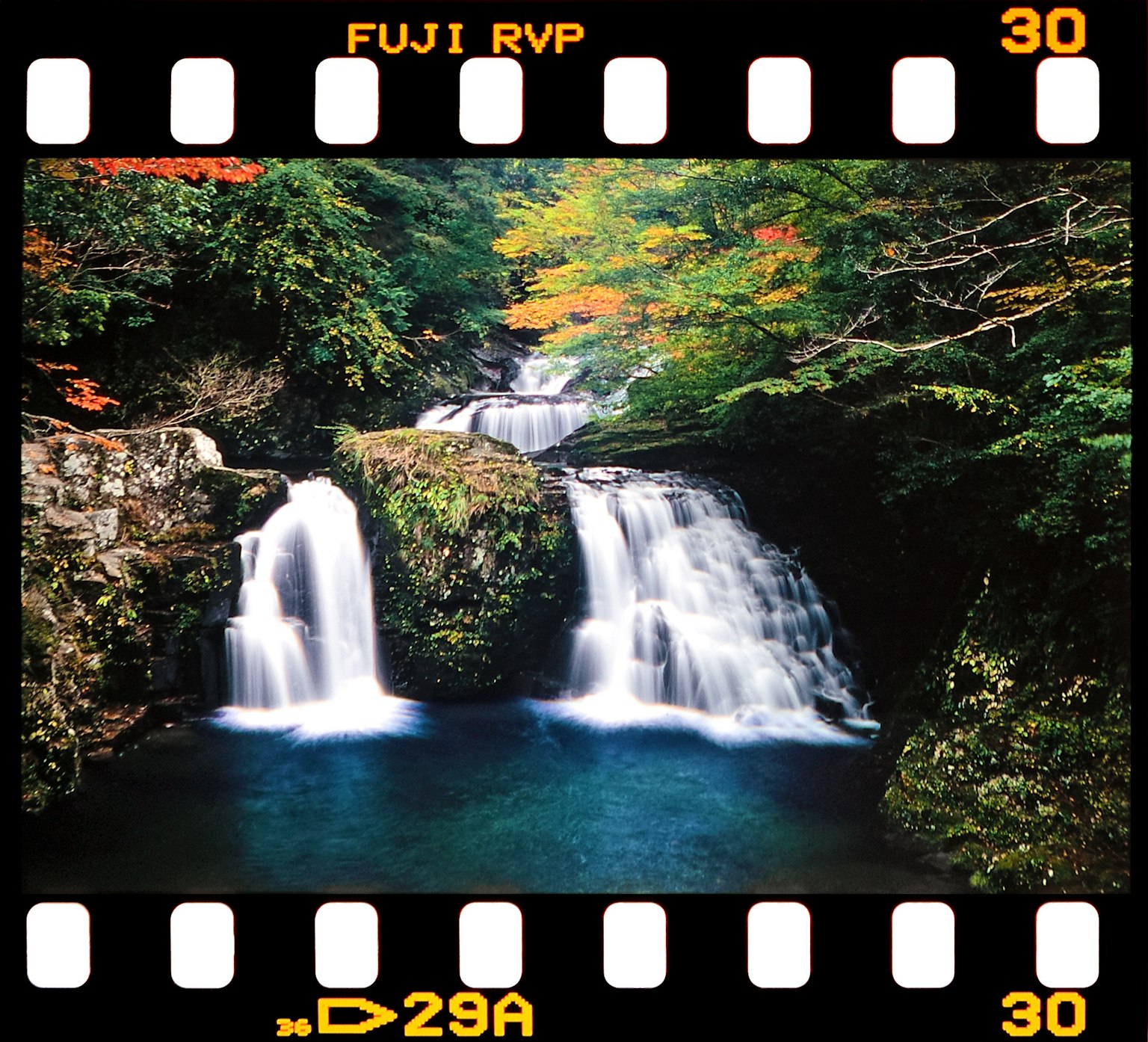 美しい滝と緑の木々の風景 色とりどりの葉が秋の訪れを示す