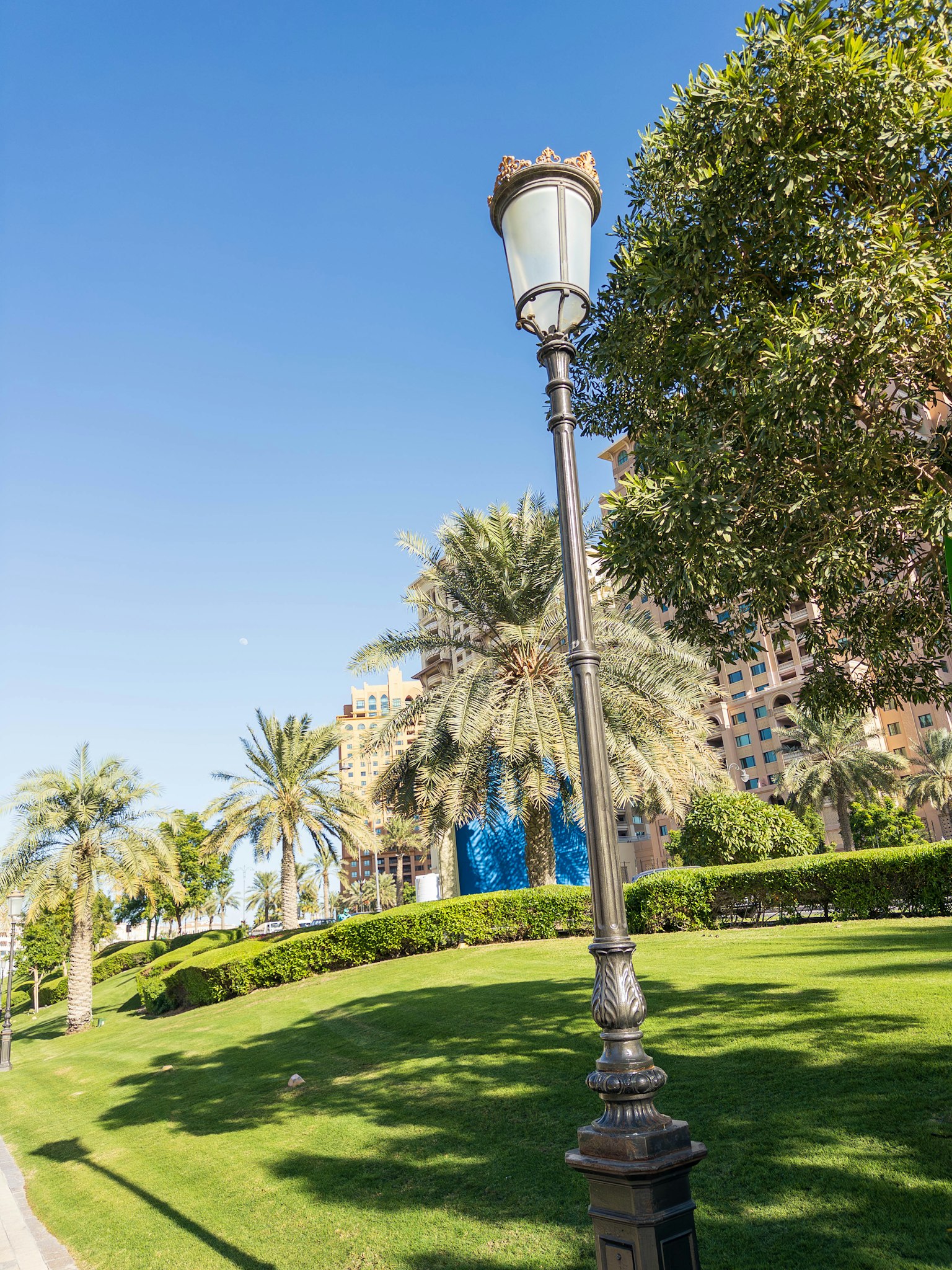 Straßenlampe in einem Park mit grünem Gras und Palmen