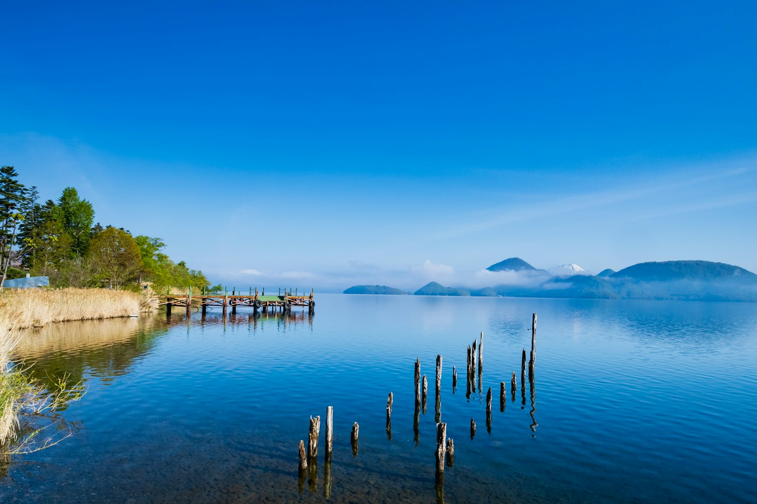 Malersicher Blick auf einen ruhigen See unter einem blauen Himmel mit Holzpfählen und umliegendem Grün