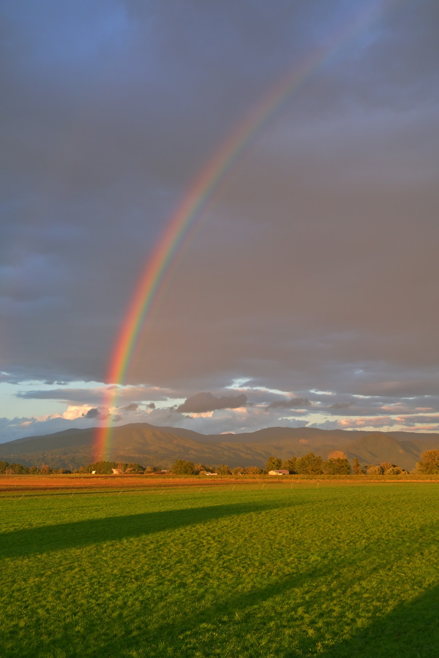 Landschaft mit einem Regenbogen über einem grünen Feld und Bergen im Hintergrund