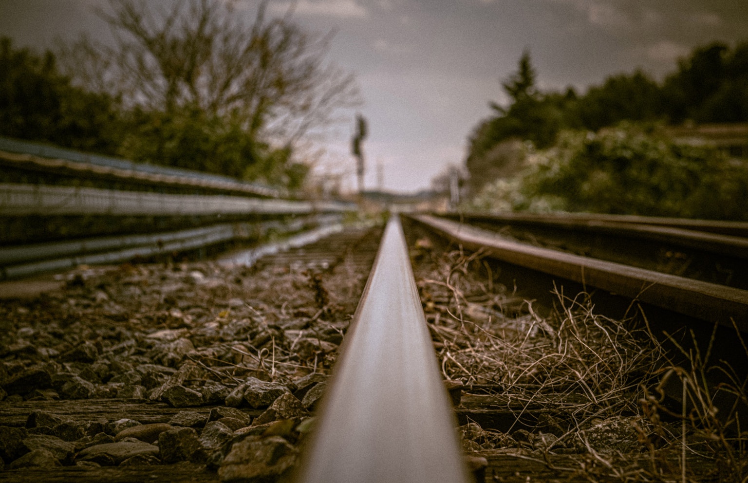 Vista in prospettiva dei binari ferroviari che si estendono in lontananza