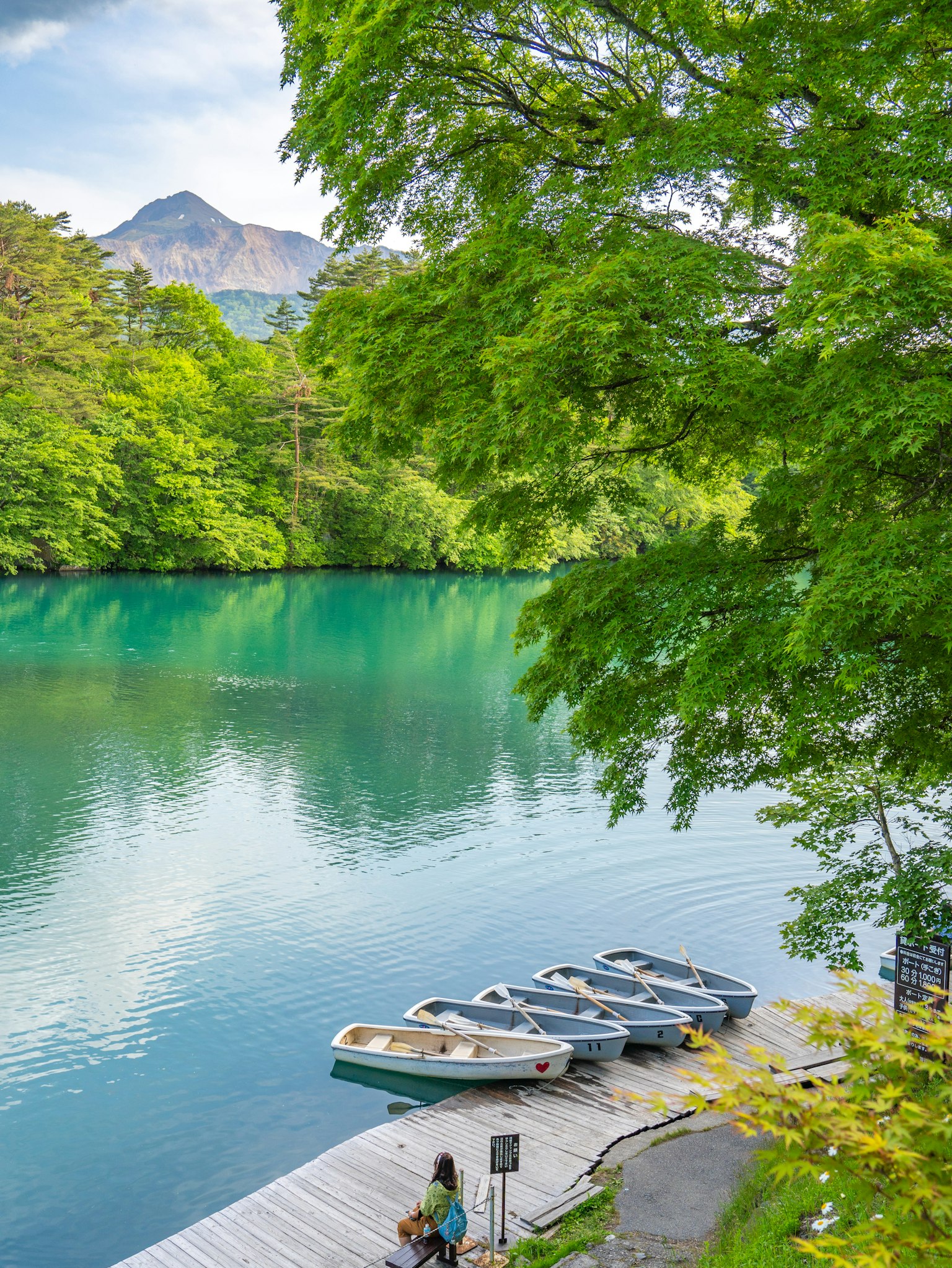 Malersiche Aussicht auf einen blauen See mit Booten umgeben von üppigen grünen Bäumen und Bergen