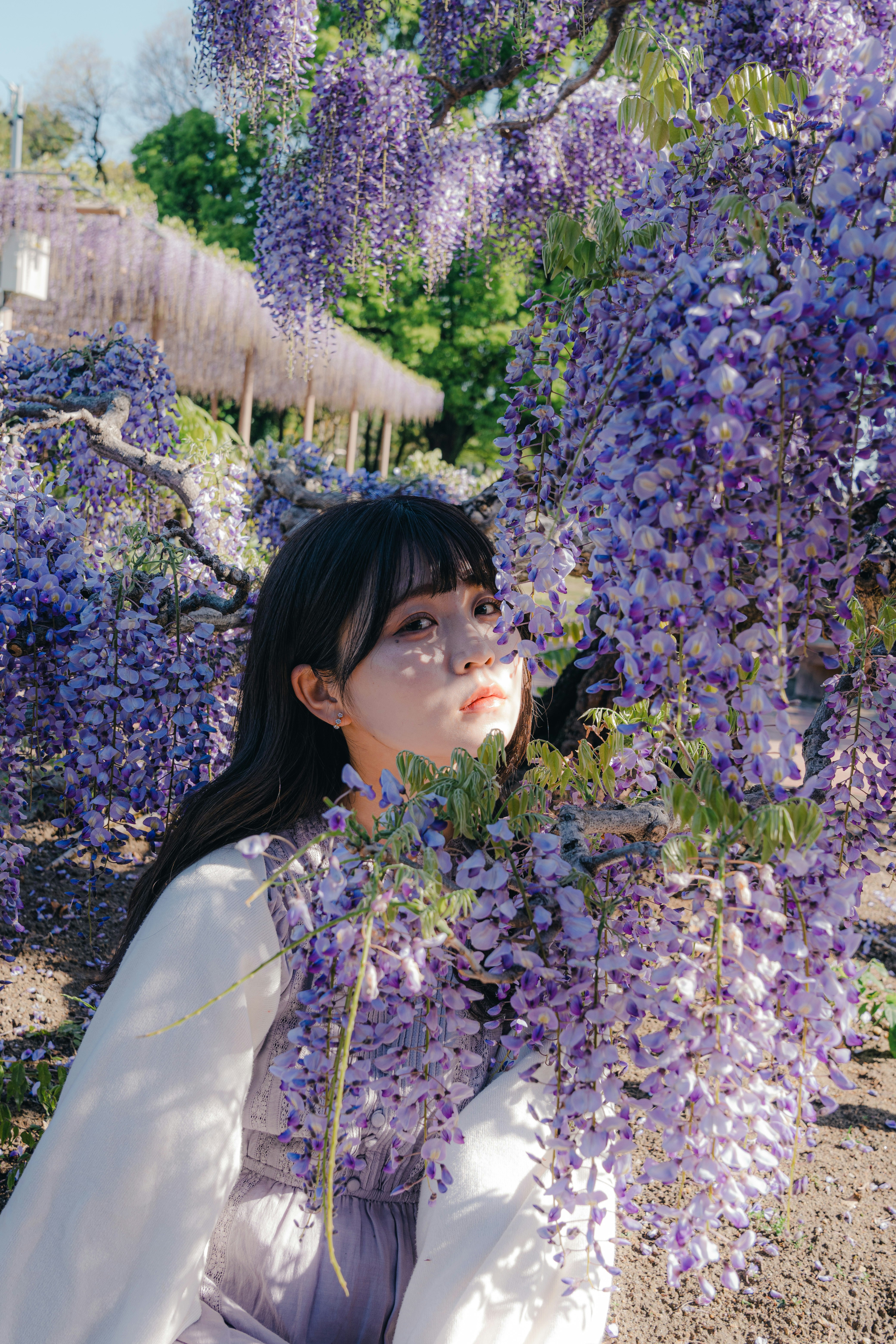 藤の花に囲まれた女性のポートレート