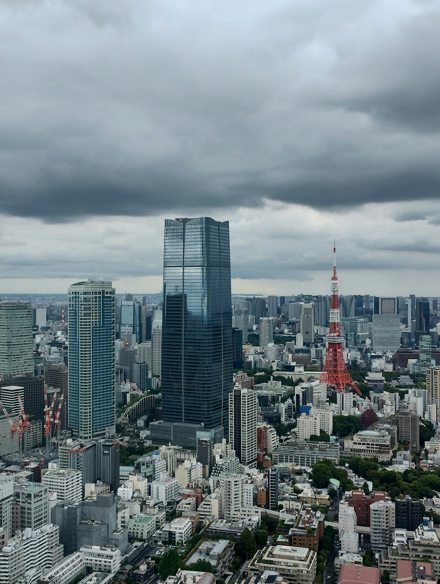 Vista aérea del horizonte de Tokio con rascacielos y la Torre de Tokio