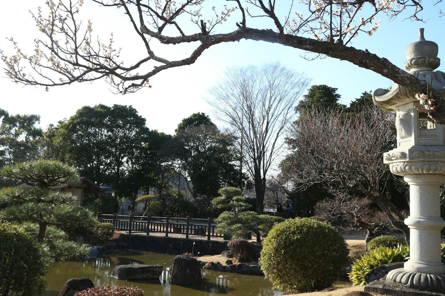 Scenic view of a Japanese garden featuring a stone lantern and pond