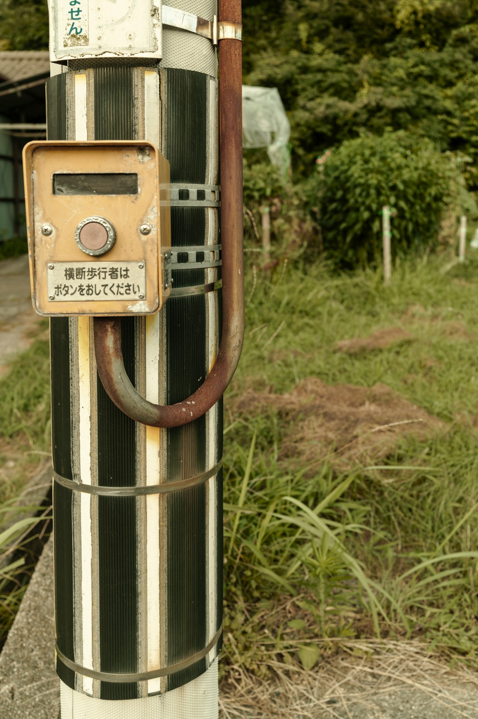 旧信号杆和周围的草地