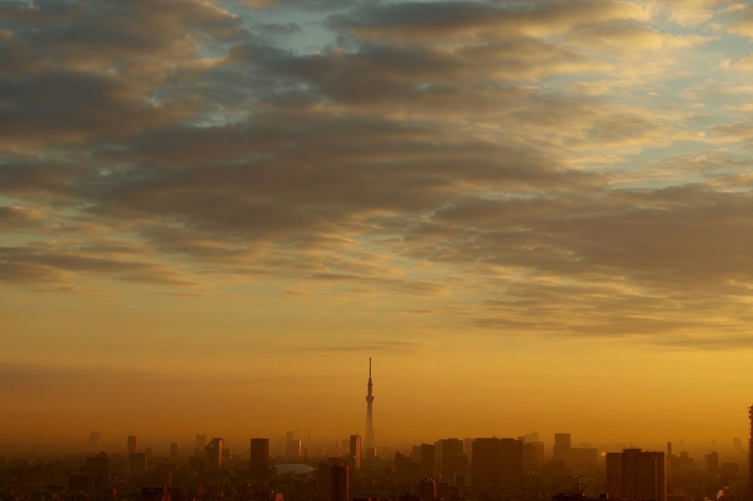 Sunset sky with silhouette of Tokyo Skytree