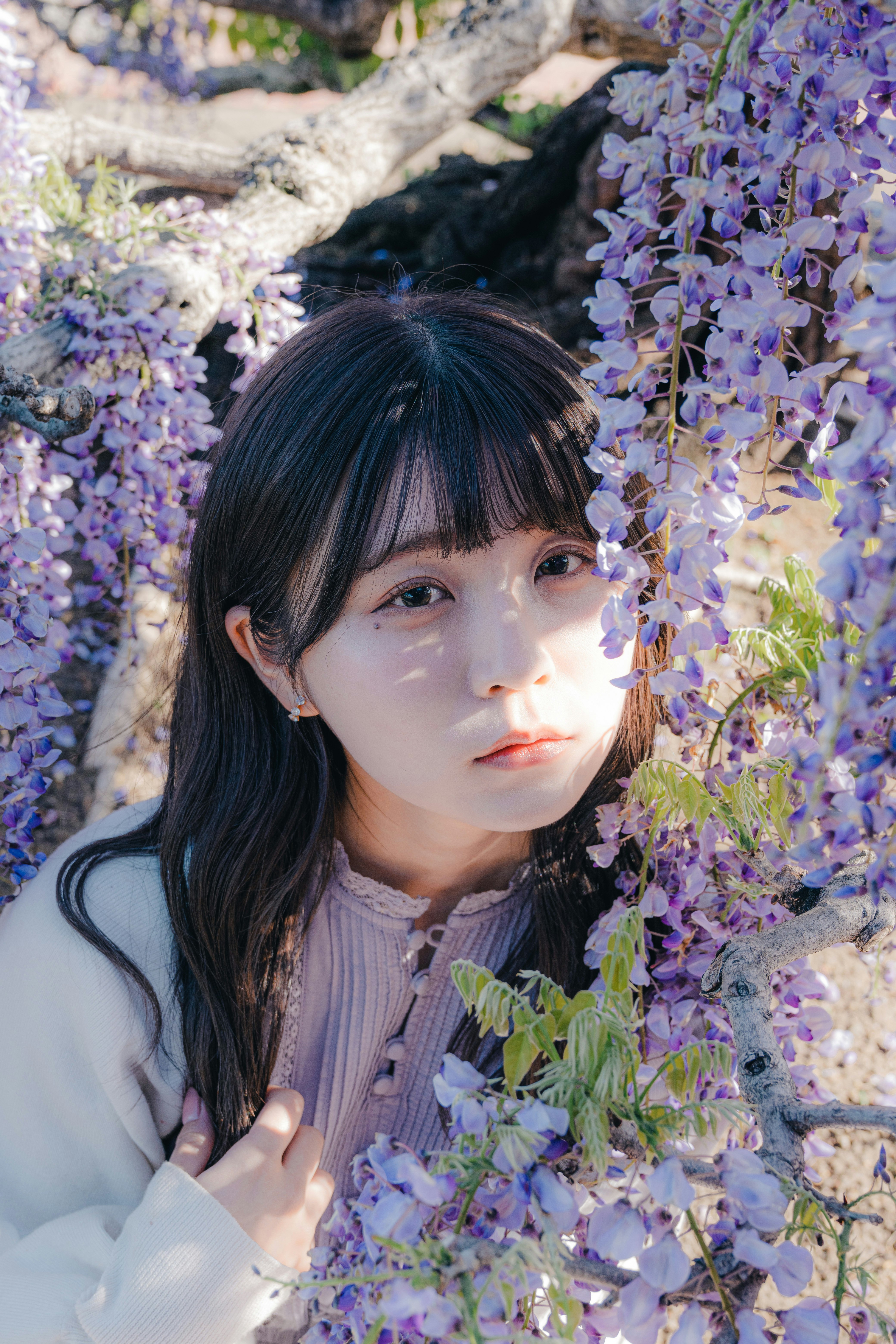 藤の花に囲まれた女性の横顔