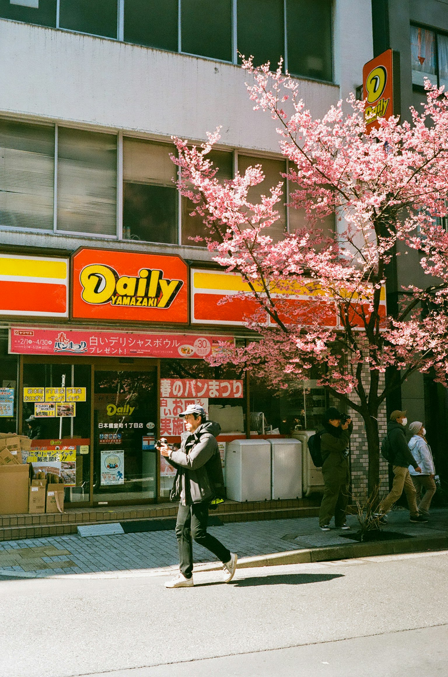 便利商店外觀與櫻花樹和行人