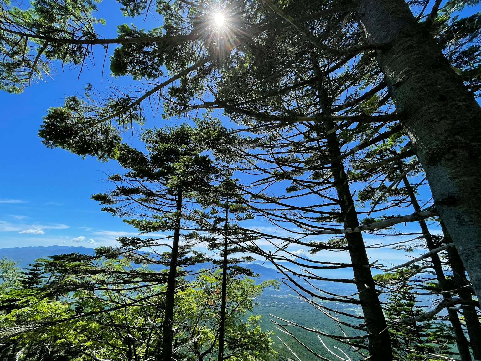 Vista de montaña con luz del sol filtrándose a través de los árboles y cielo azul