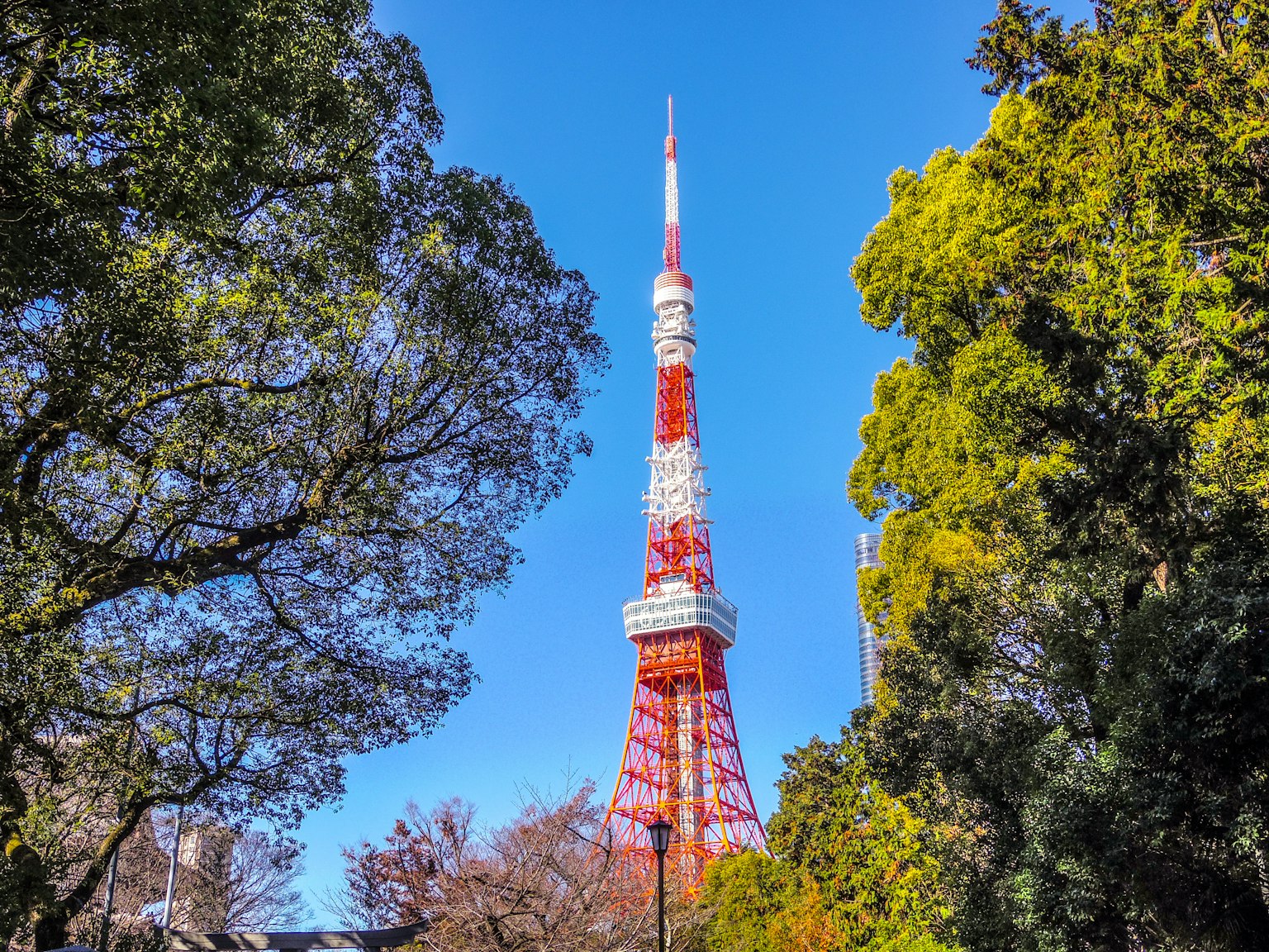 Tokyo Tower umgeben von grünen Bäumen unter einem klaren blauen Himmel