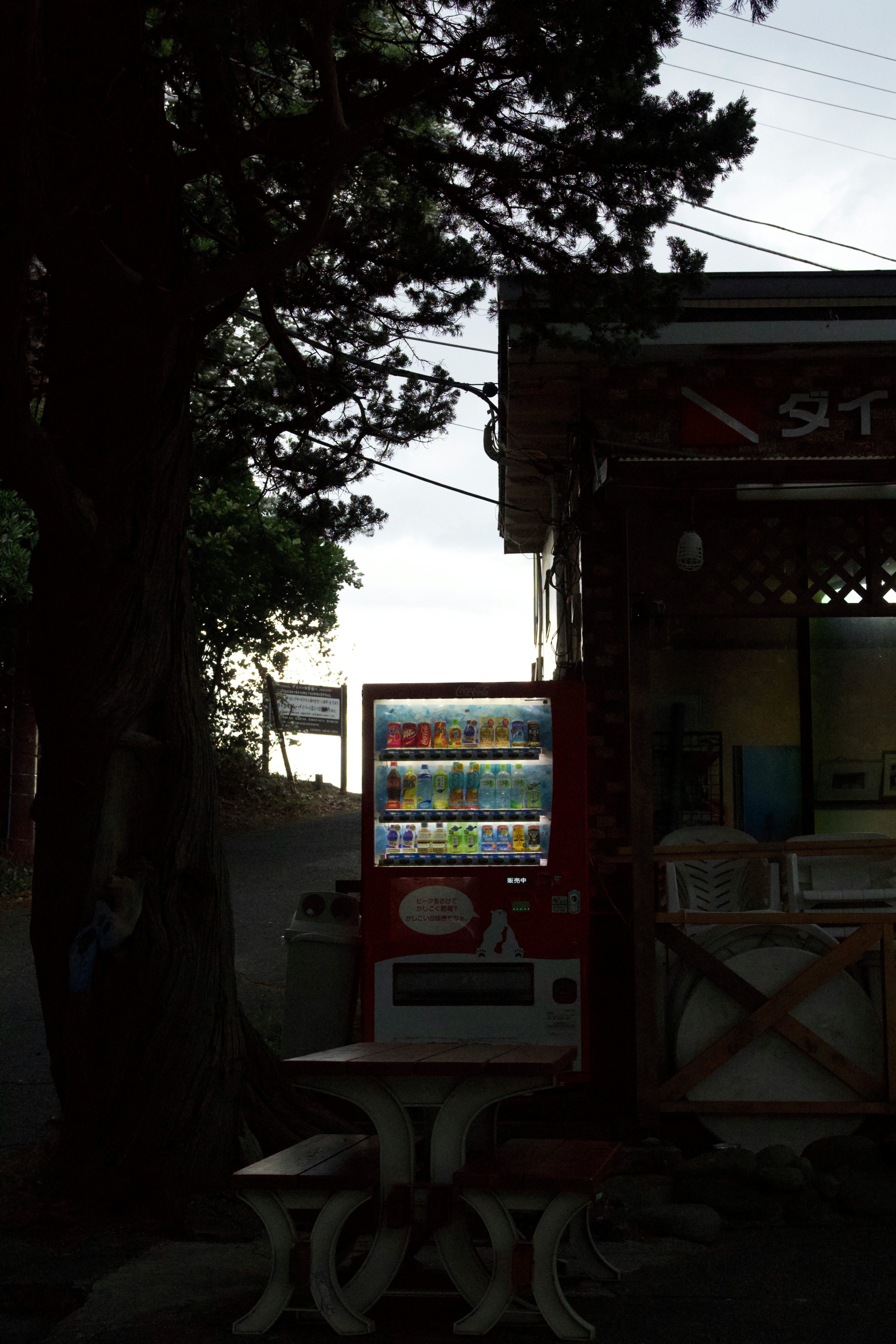 木陰の路地に置かれた自動販売機と小さな店先