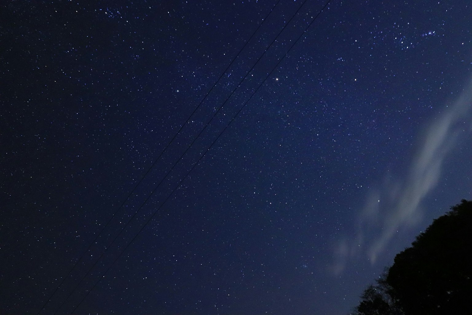 Starry night sky filled with twinkling stars