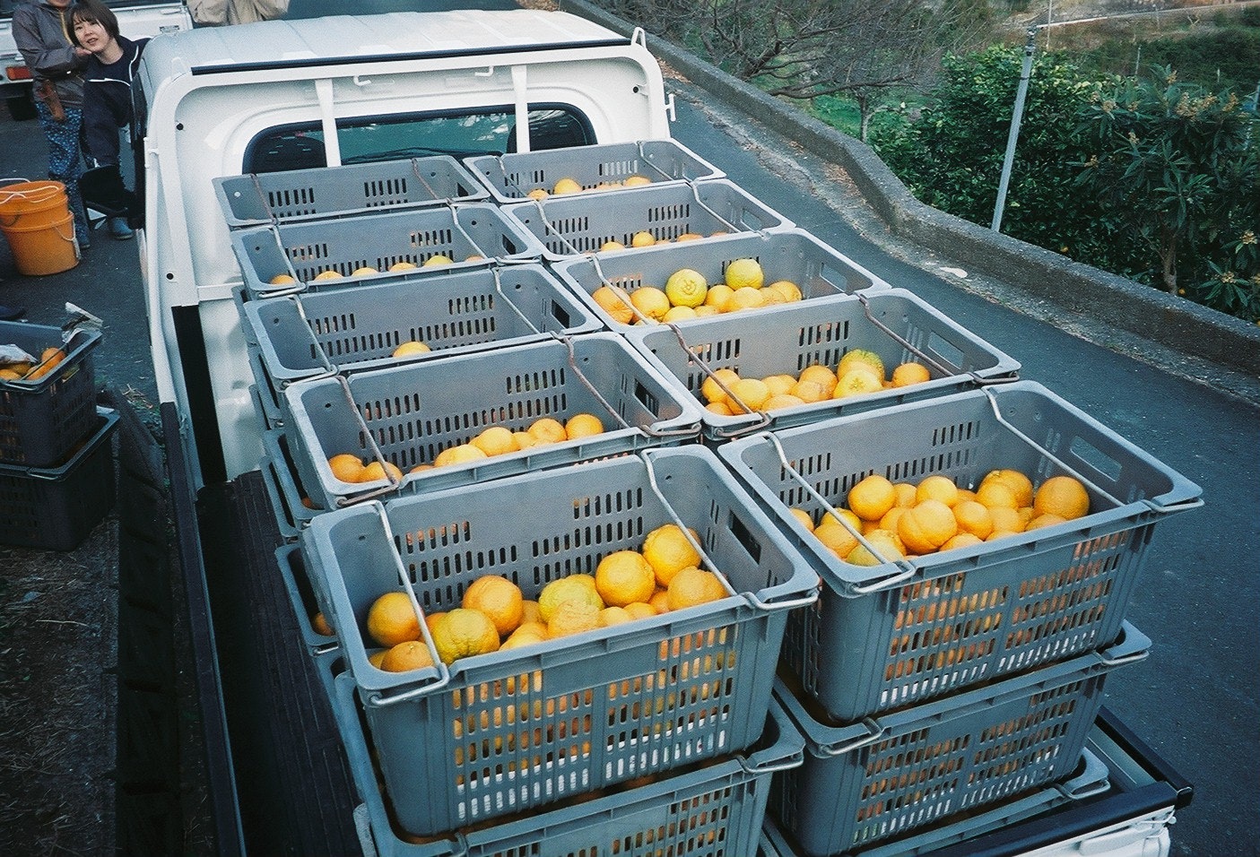 卡車車廂裡擺放的橘色柑橘水果籃
