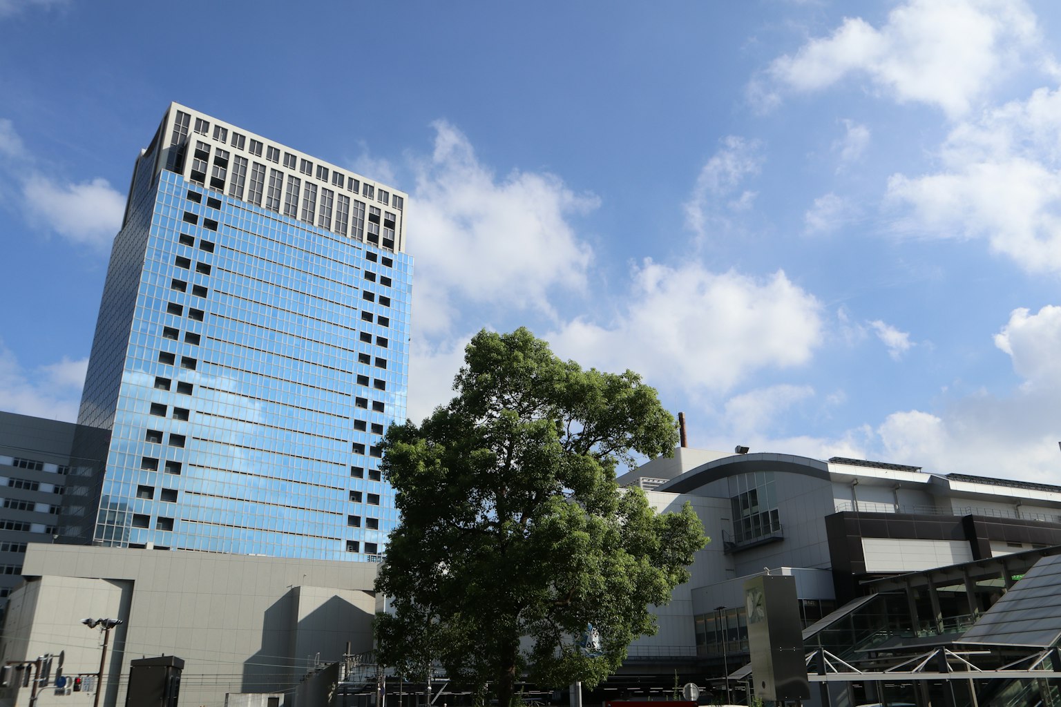 ทิวทัศน์ของเมืองที่มีอาคารสูงกระจกสะท้อนและต้นไม้ใต้ท้องฟ้าสีฟ้า