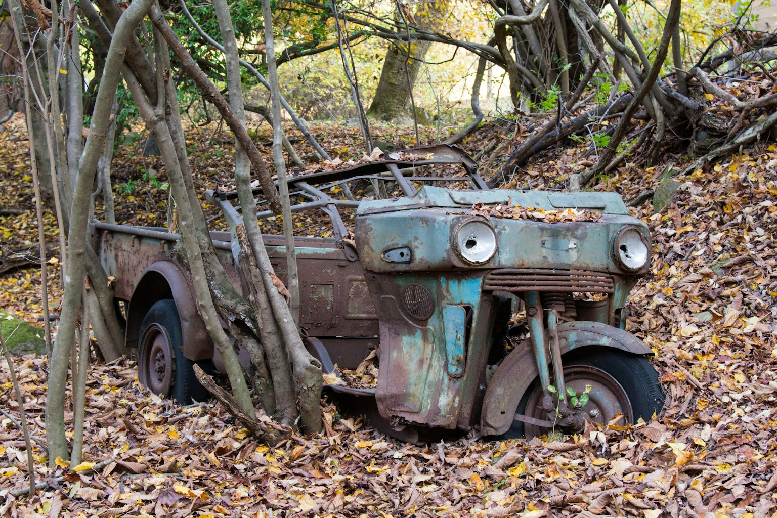 旧废弃卡车部分被落叶覆盖