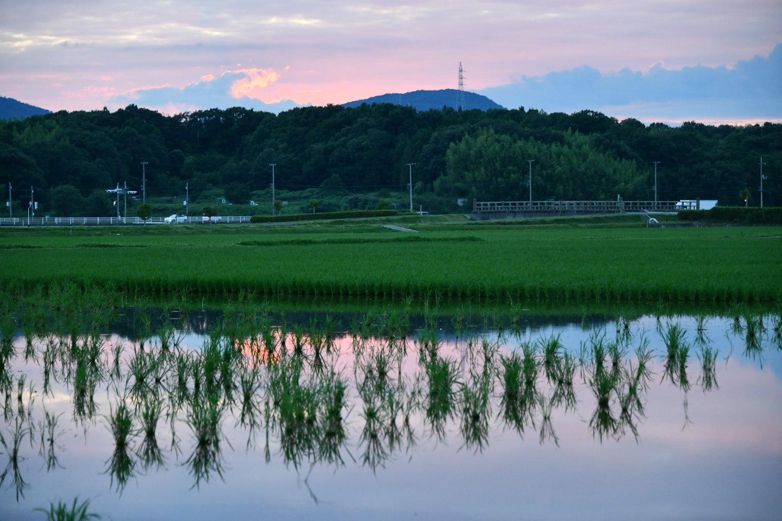 Pemandangan sawah yang memantulkan langit senja dengan pegunungan
