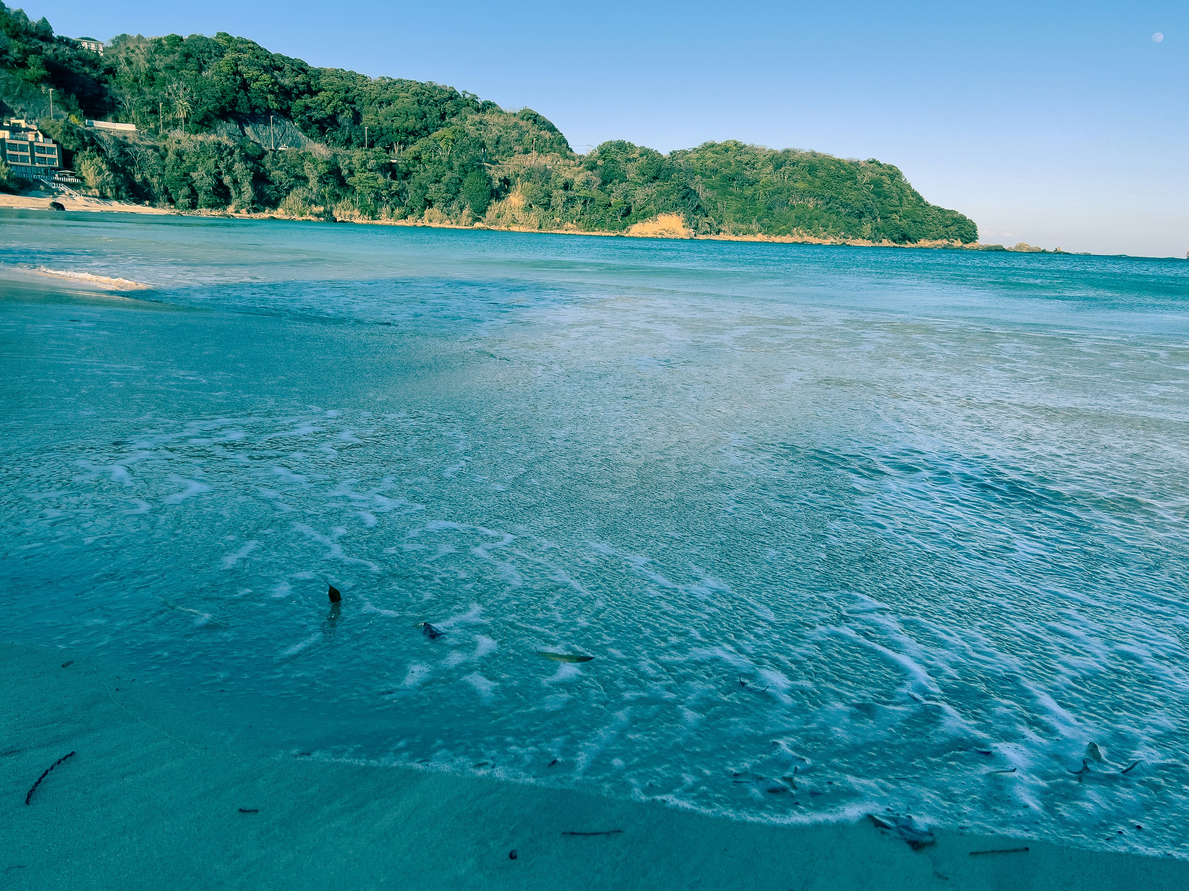 緑の岬に囲まれた青い海と遠浅の波