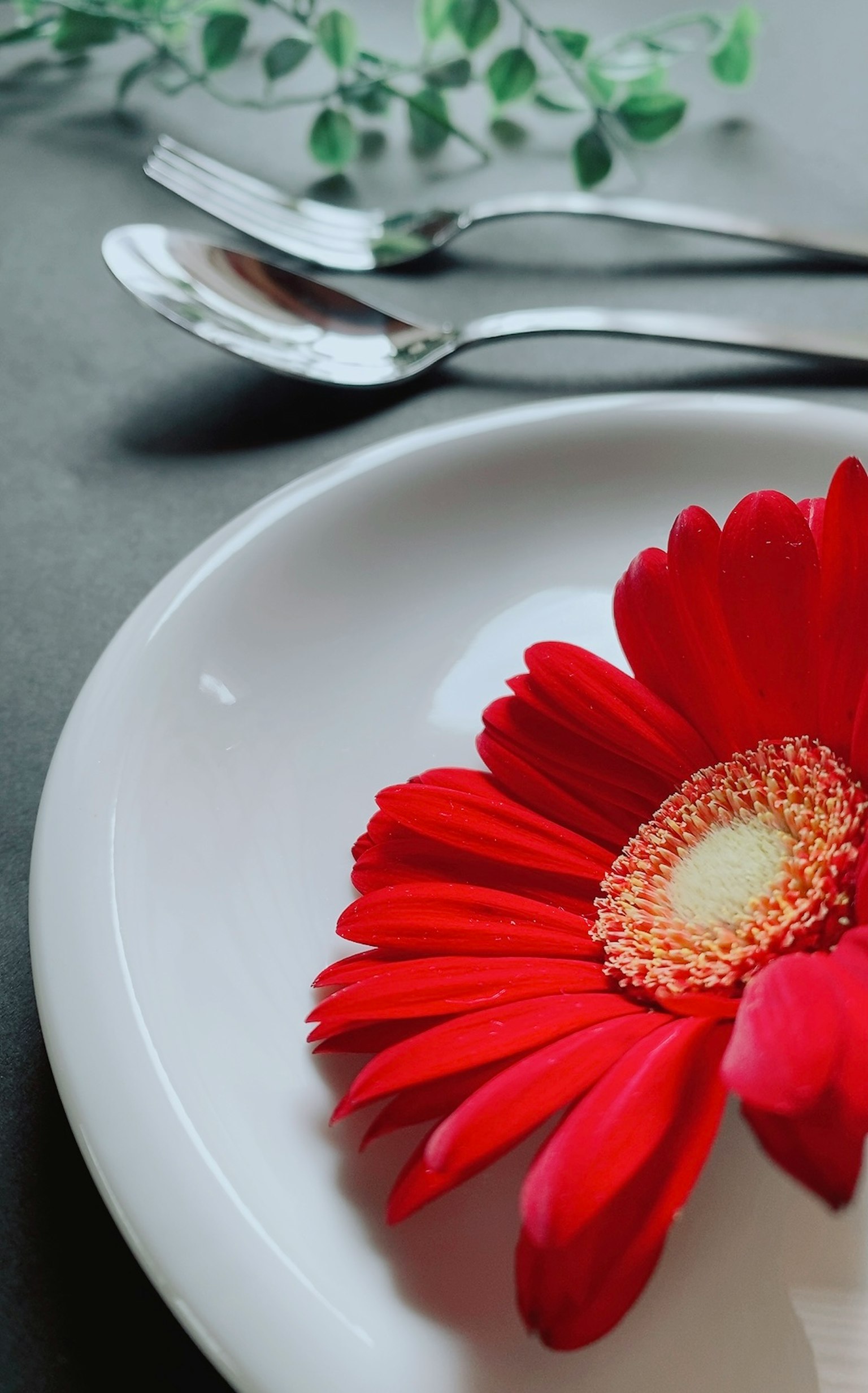 A vibrant red flower placed on a white plate with cutlery nearby