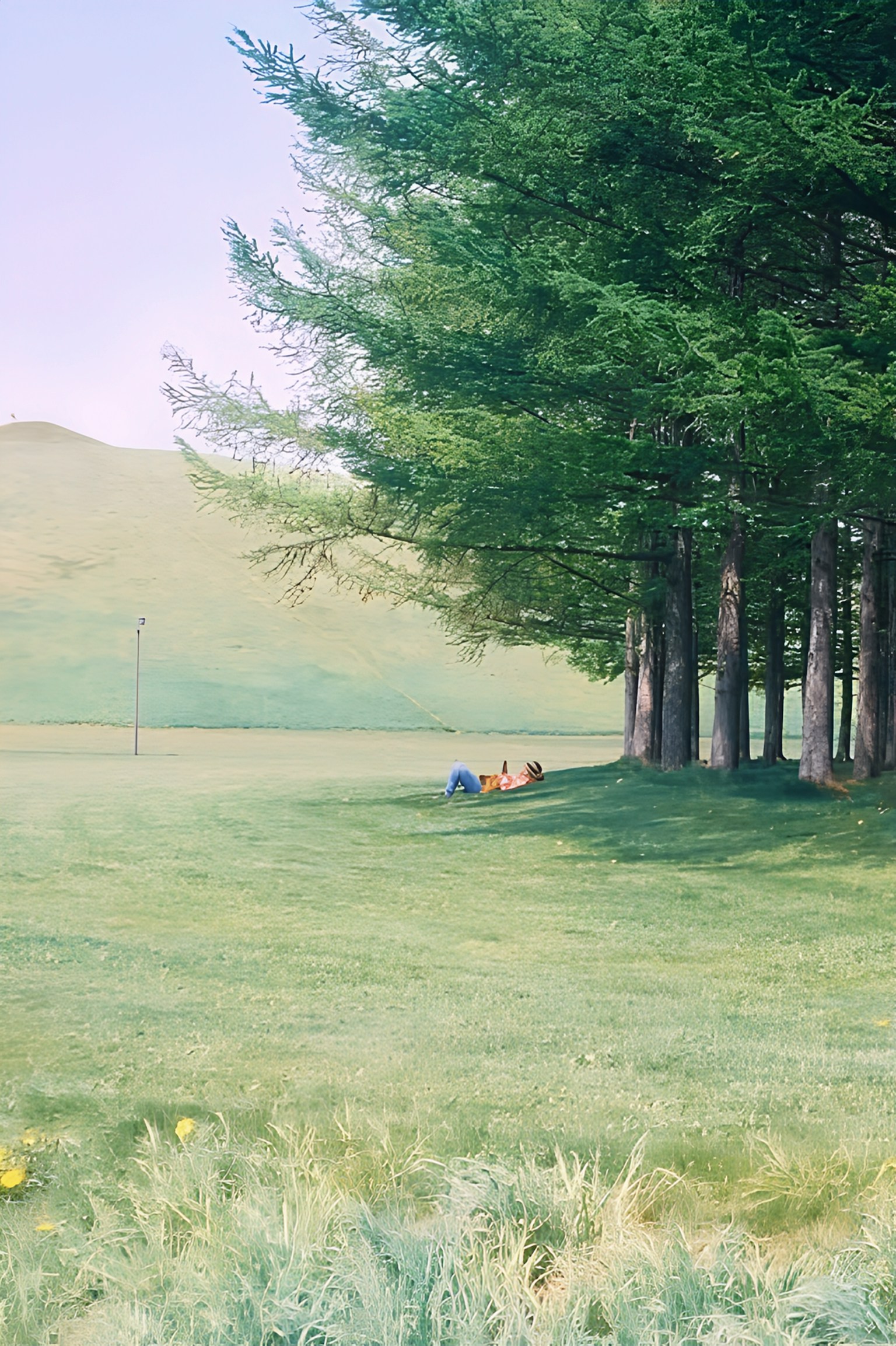 photo-4XUBIJJOUed5KHKU8LKX-image