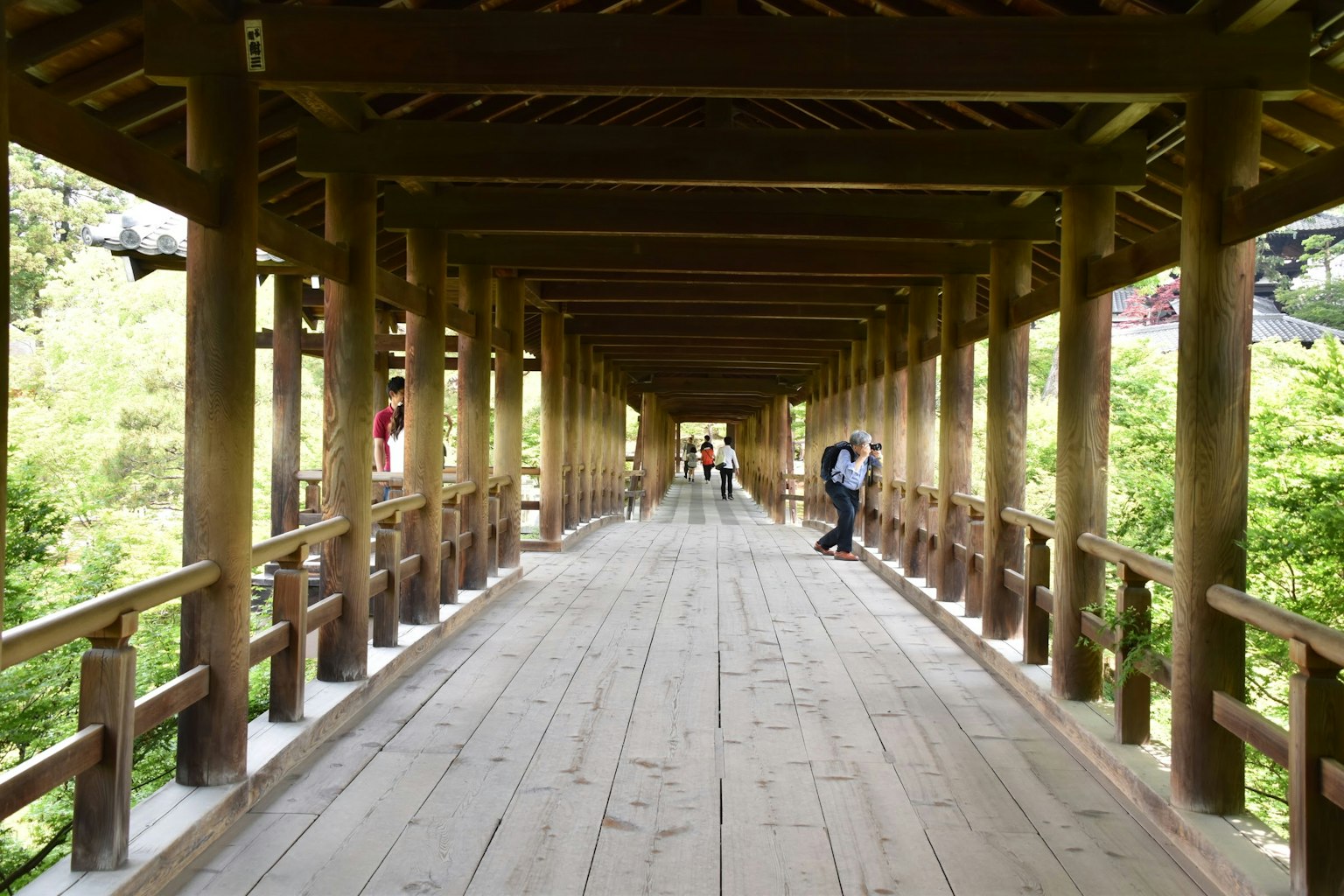 Vista interna di un ponte in legno con un sentiero e vegetazione