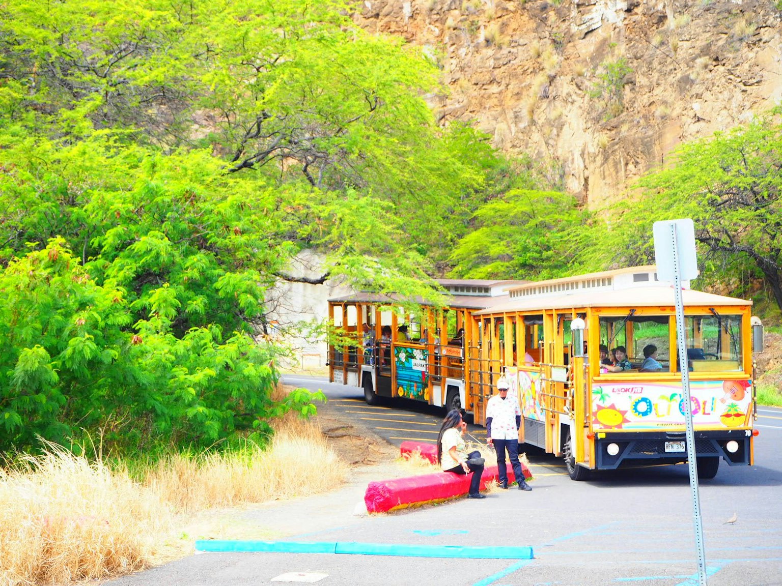 Trolley colorato parcheggiato vicino a alberi verdi lussureggianti con persone che scaricano una canoa