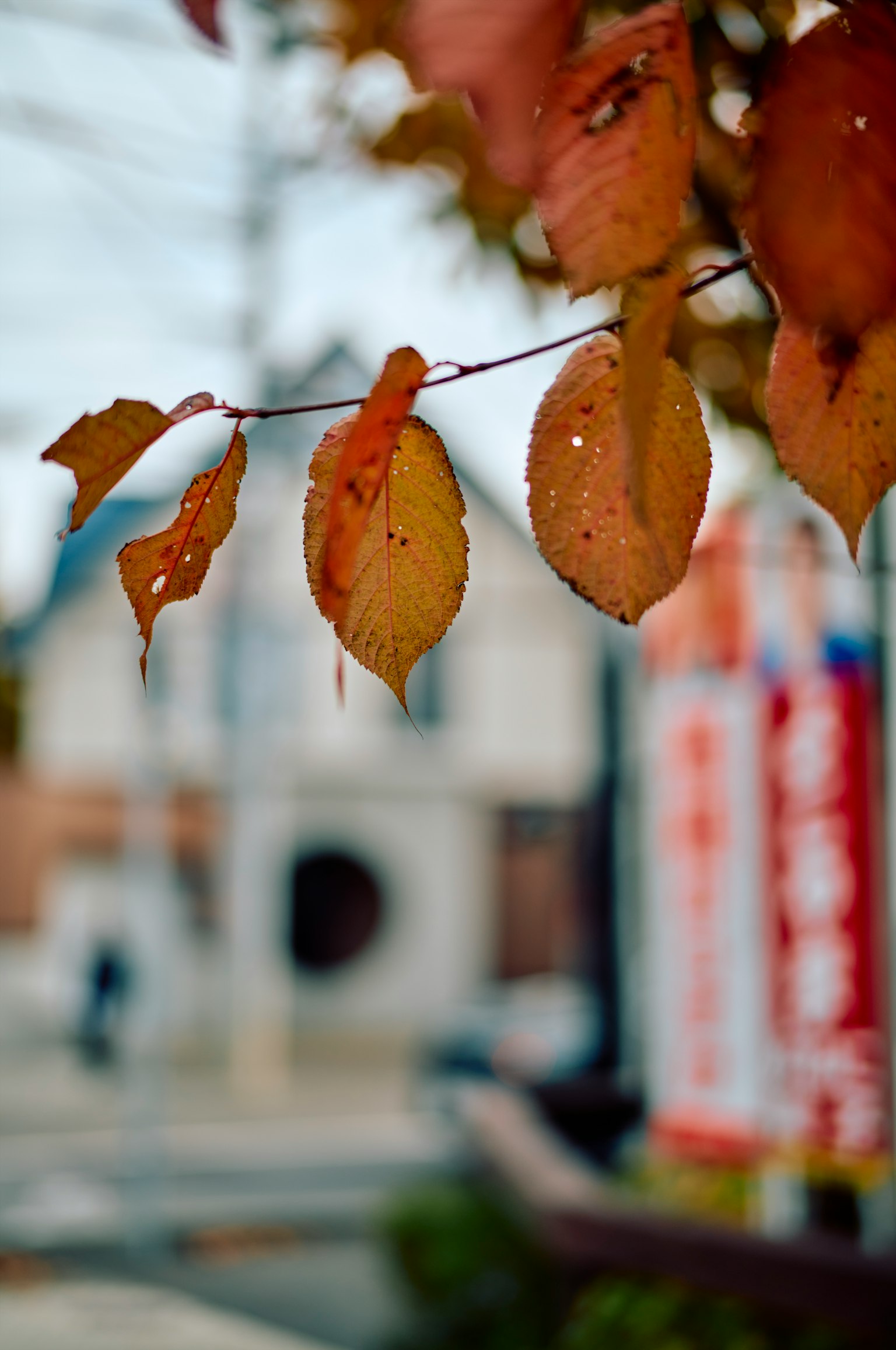 photo-4Z0x0Ya1URsKHS70dWkq-image