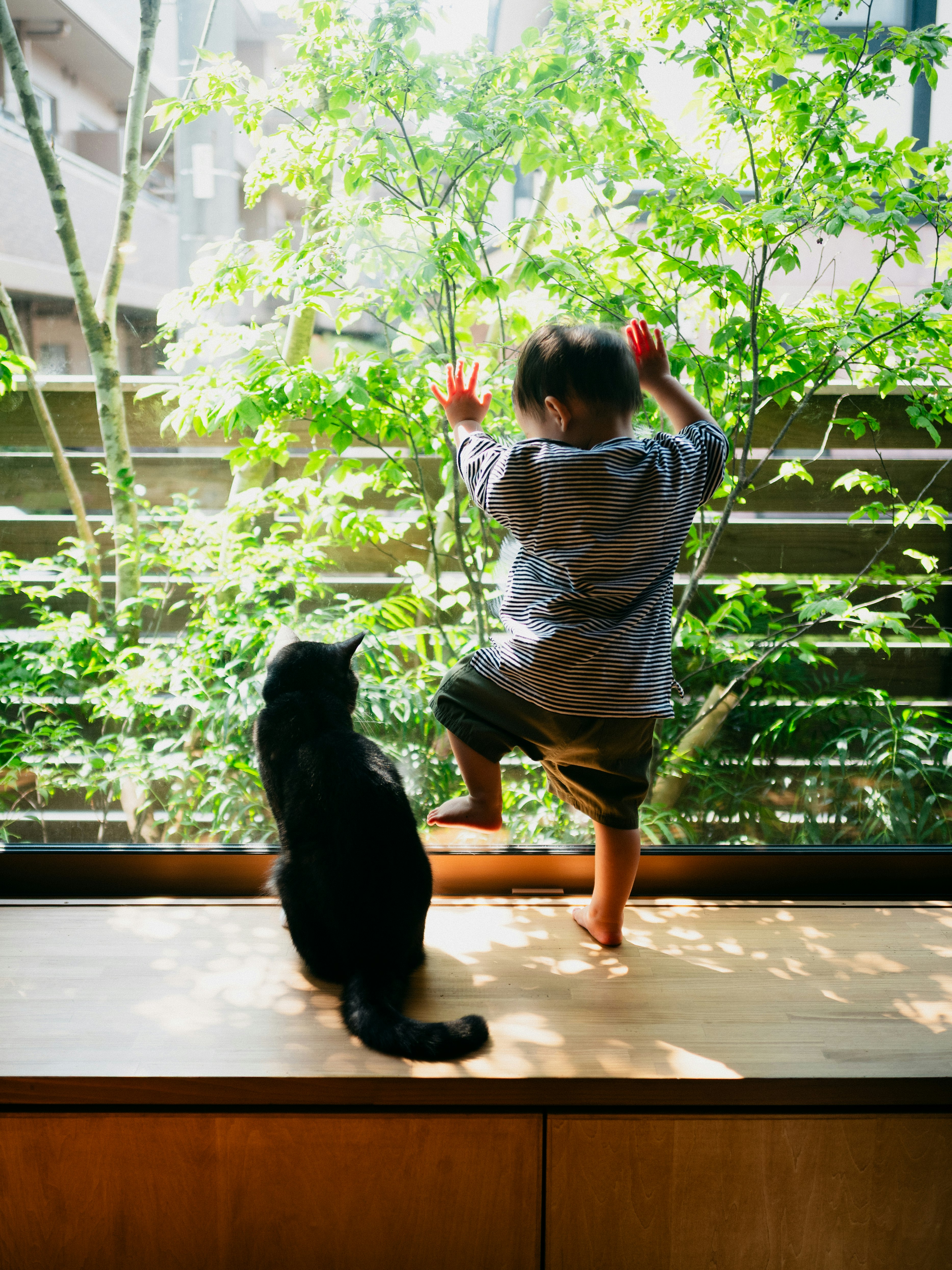 窓辺で猫に見守られながら歩く2歳の息子
