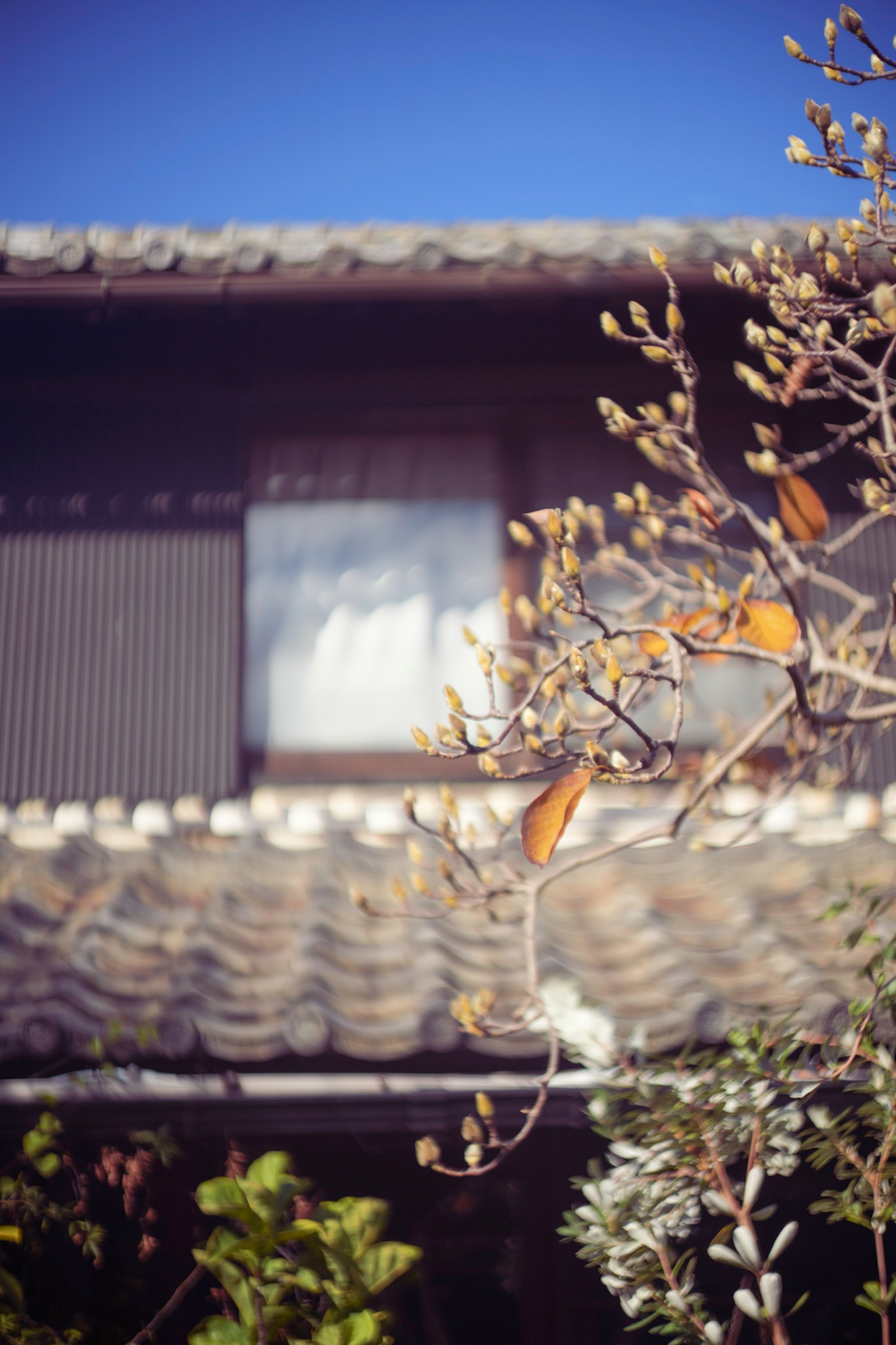 傳統日本房屋的屋頂和窗戶，前景有枯枝