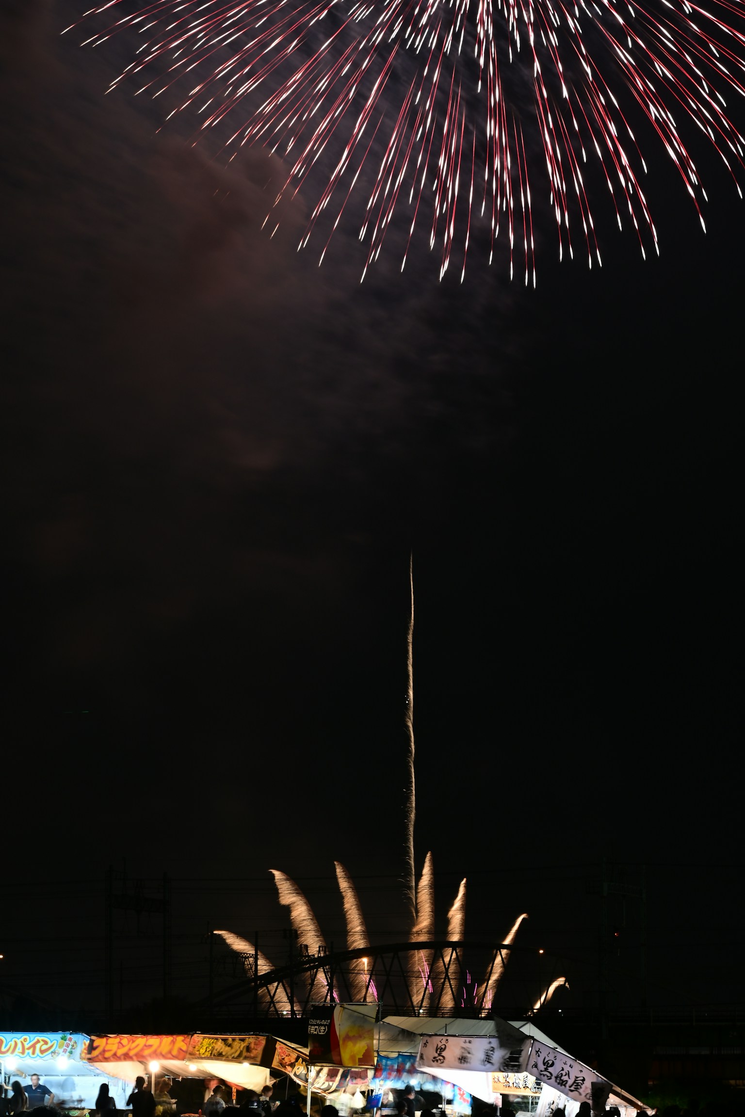 Fireworks illuminating the night sky with vibrant colors