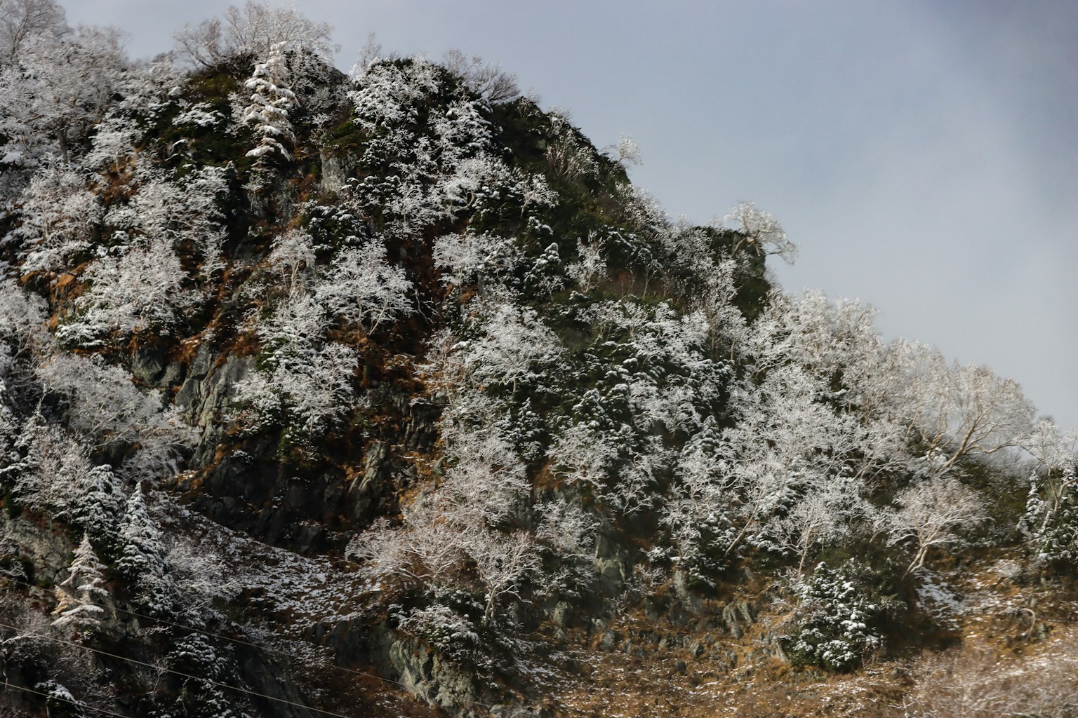 Pemandangan gunung yang tertutup salju dengan pohon beku dan warna dingin