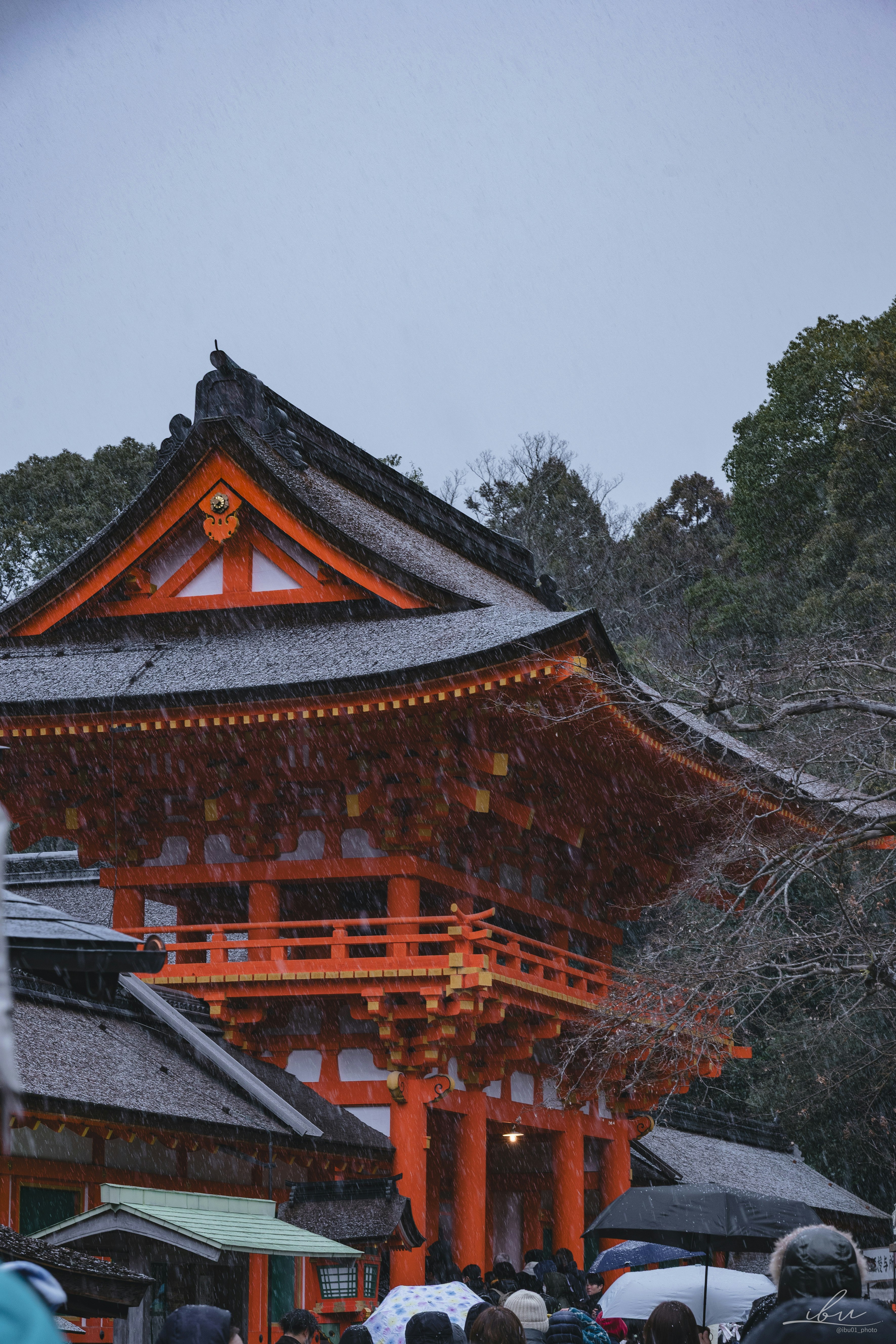 雪の降る上賀茂神社の楼門と社殿