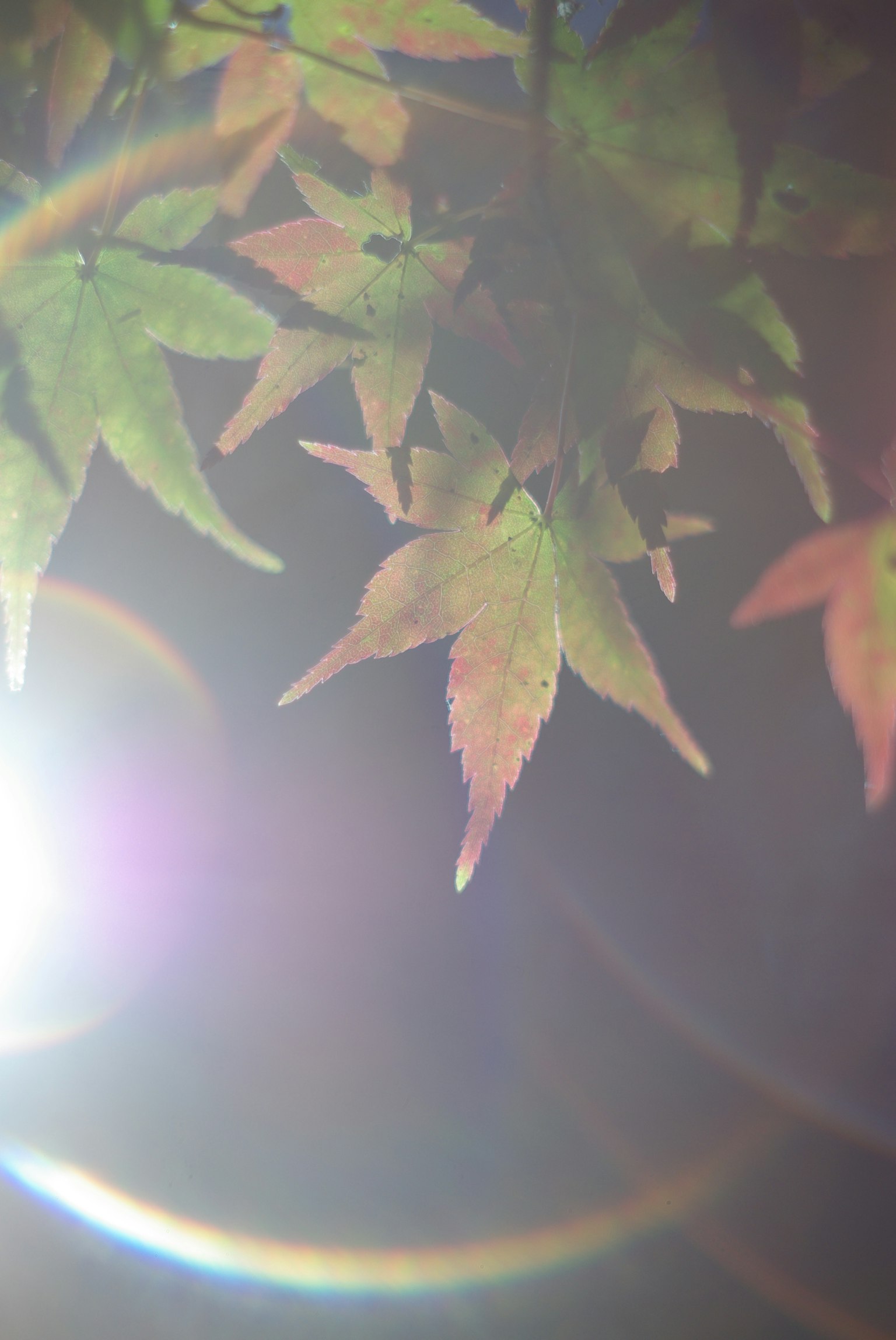 Simple gray square on a dark background