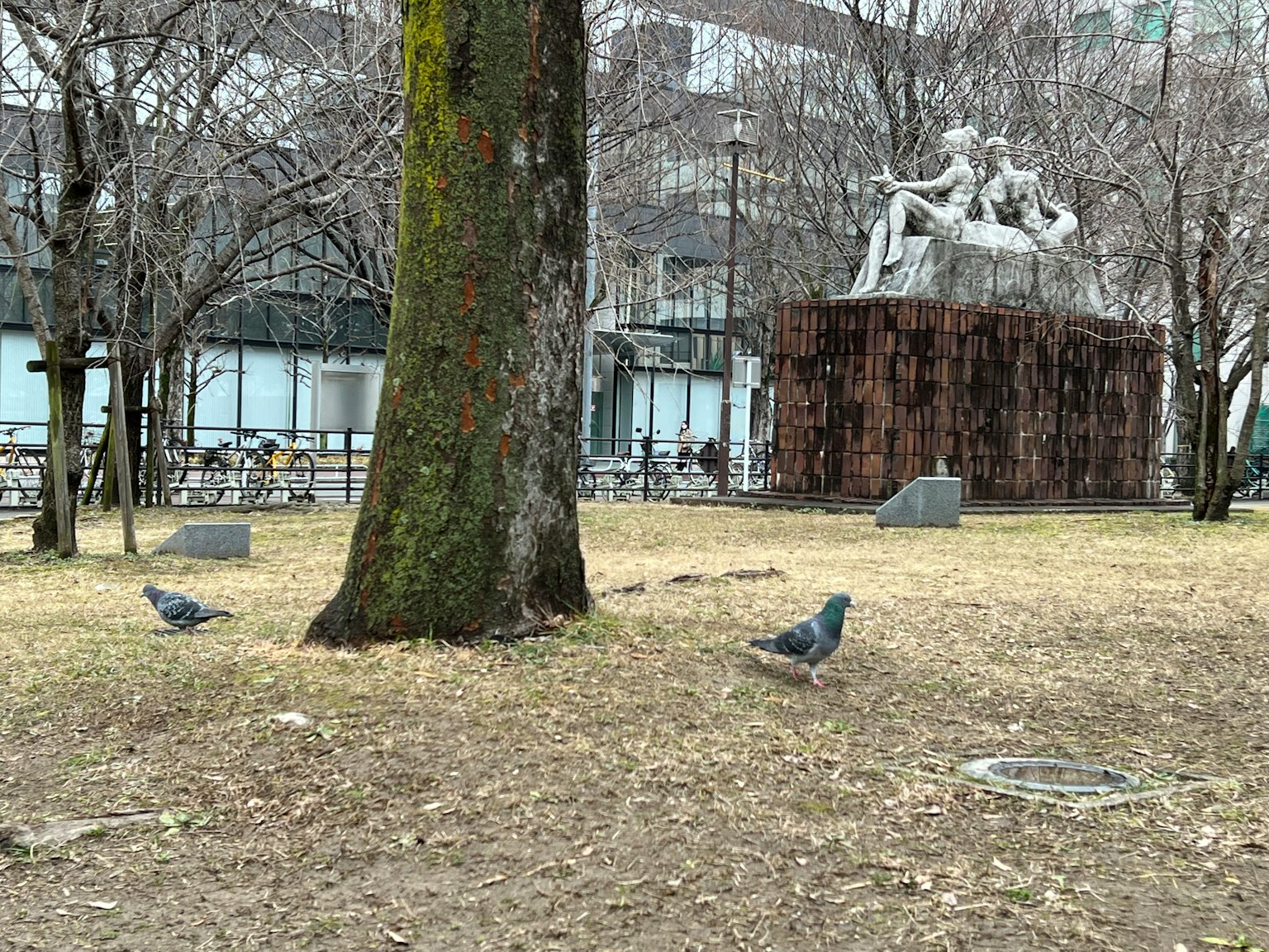 公園裡樹和雕塑旁的鴿子