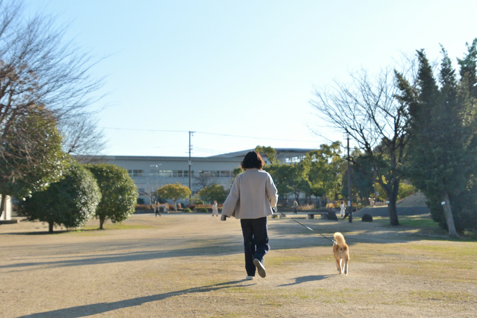 Person, der einen Hund in einem Park spazieren führt