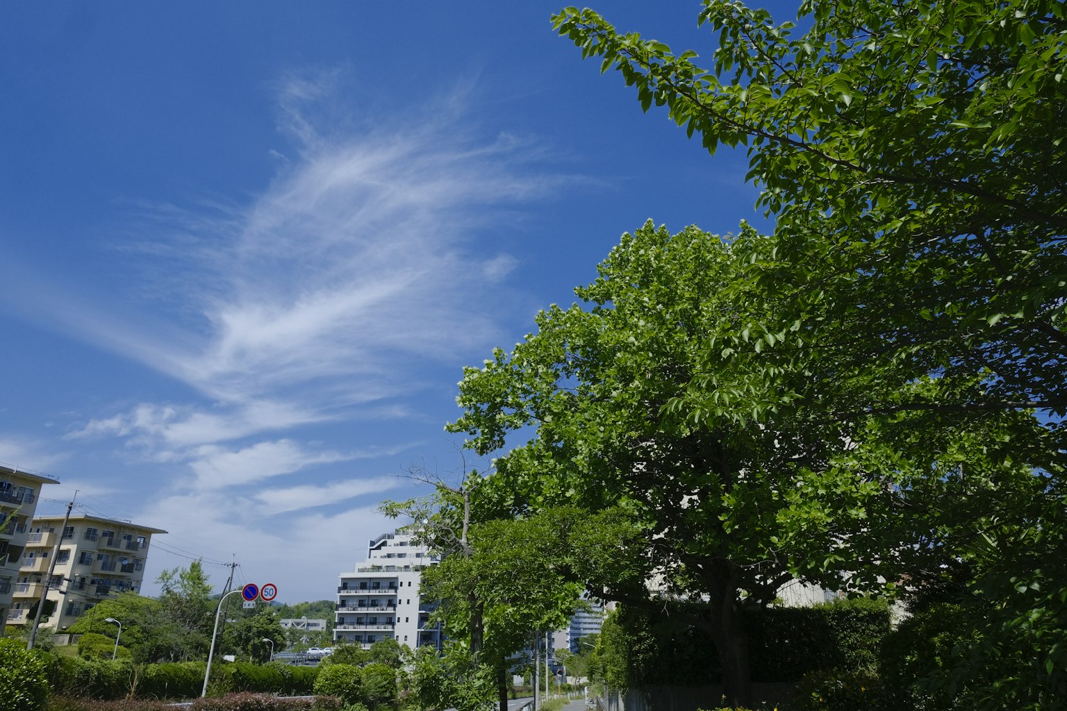 Heller blauer Himmel mit dünnen Wolken grüne Bäume und moderne Gebäude im Hintergrund