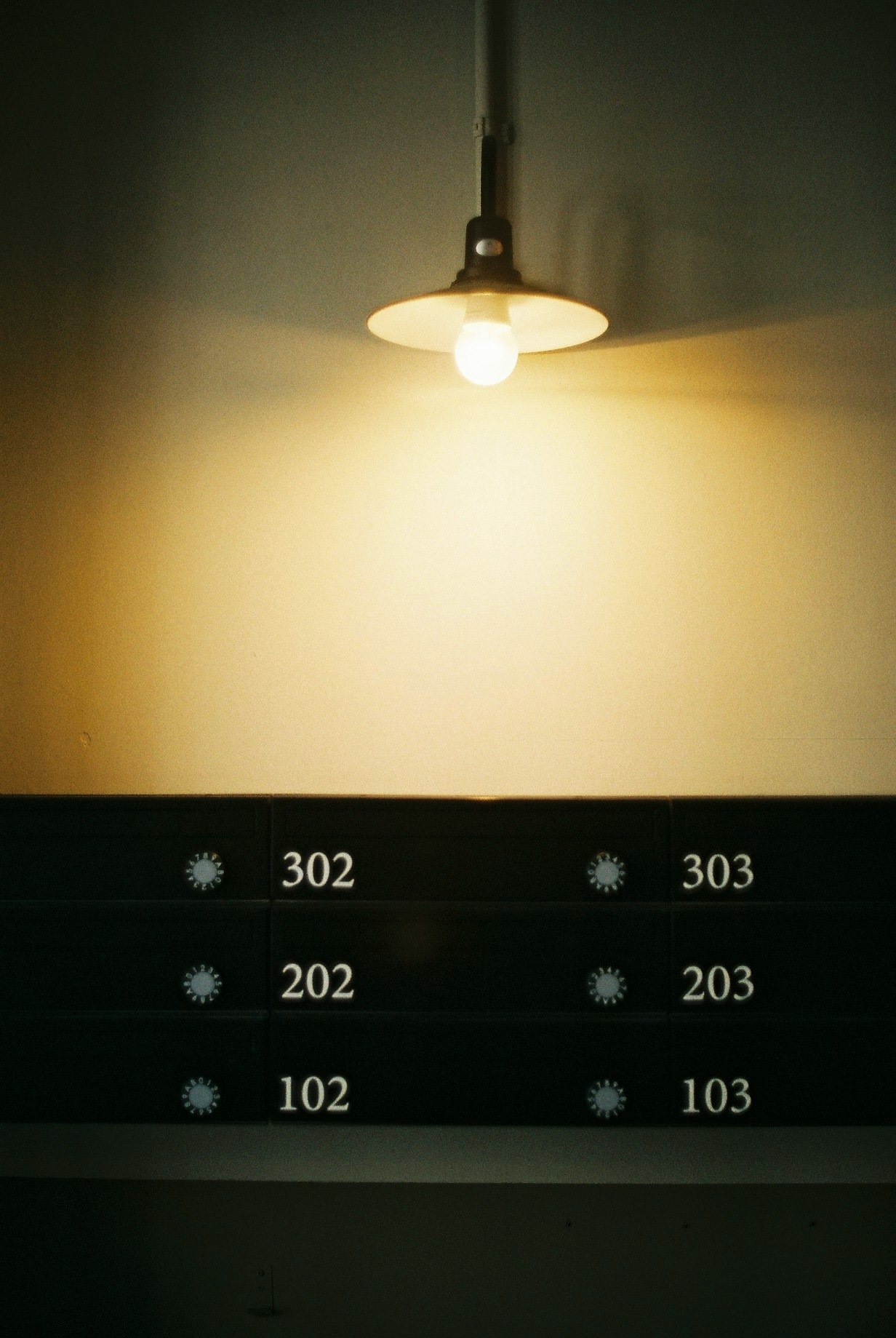 hallway wall with exposed ceiling light bulbs and room numbers