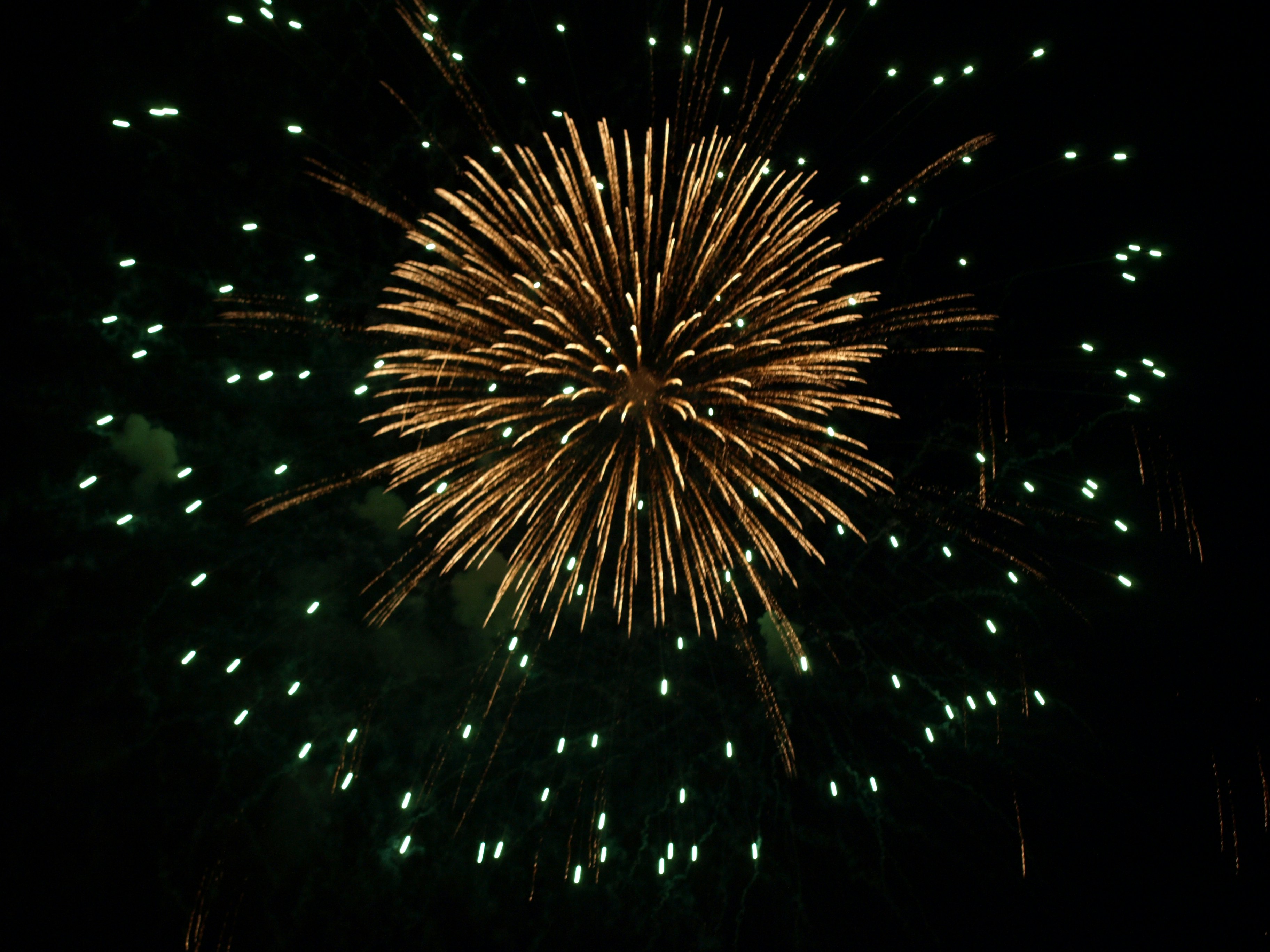 夜空に広がる花火の放射状の光